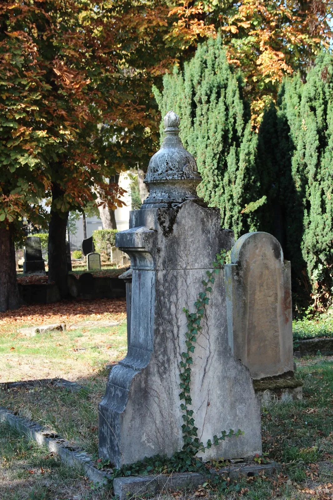 Вид на Синагогу в Рауентале, Кобленц