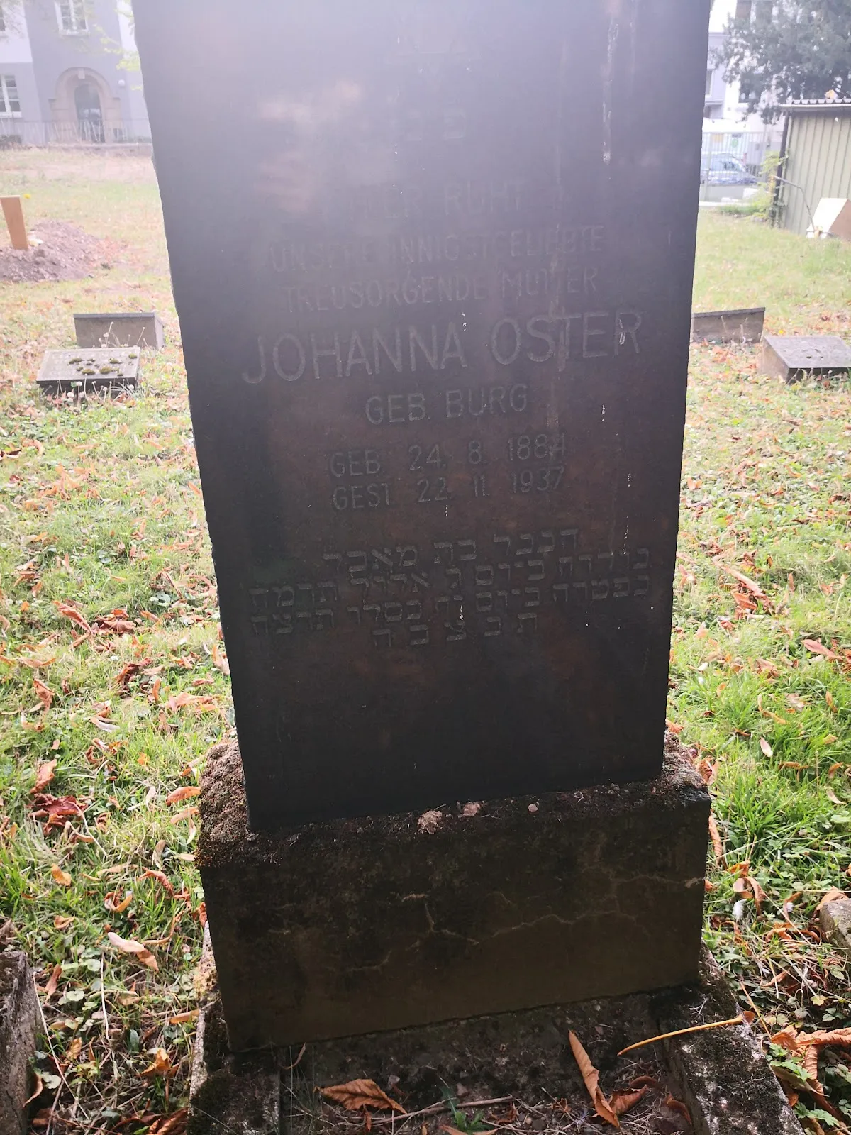 Вид на Синагогу в Рауентале, Кобленц