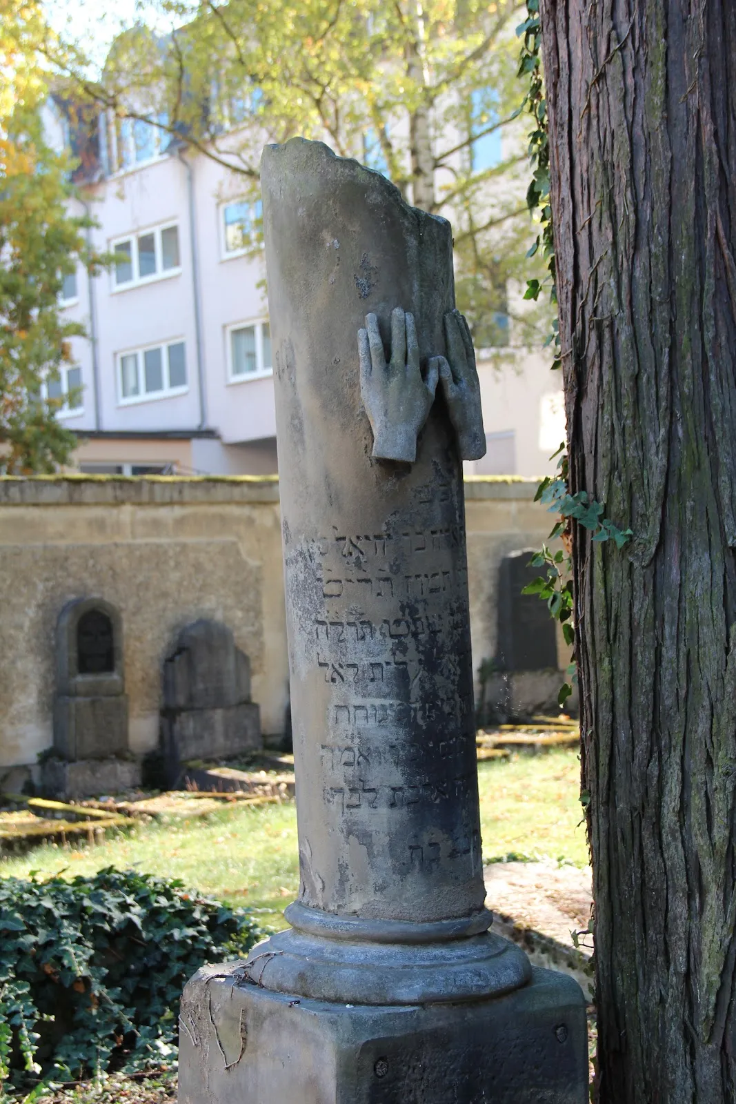 Вид на Синагогу в Рауентале, Кобленц