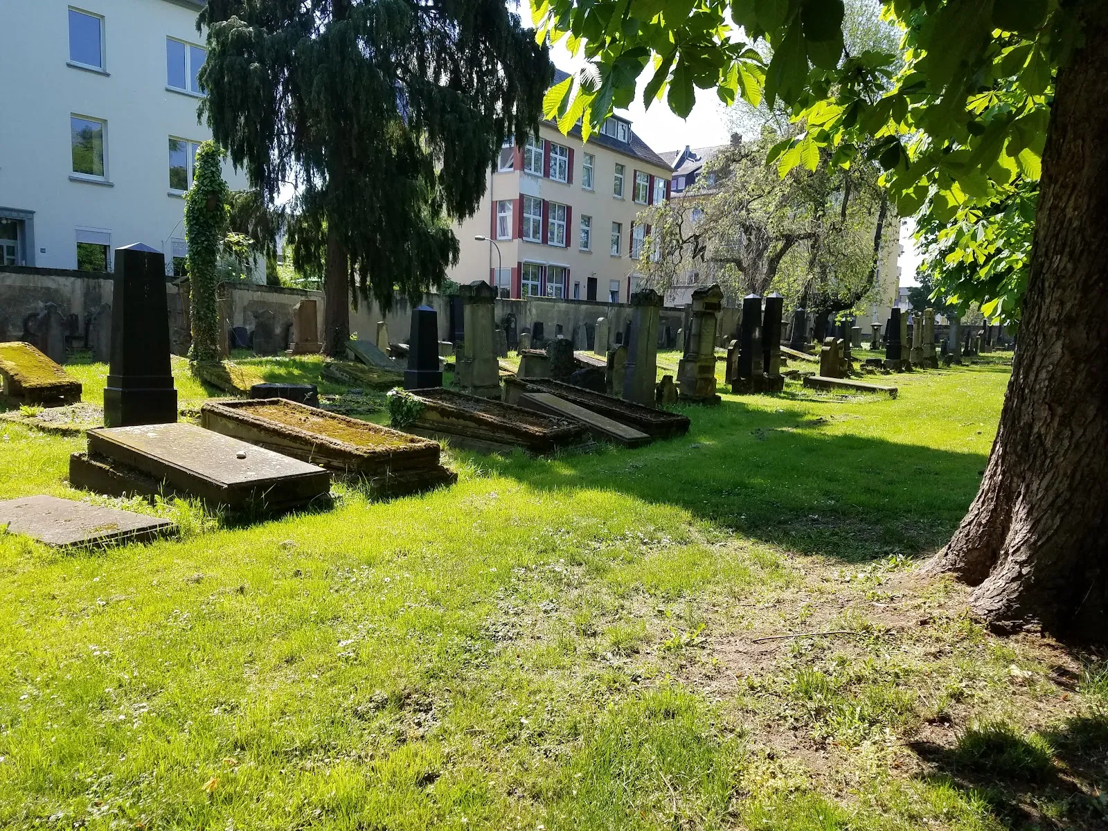 Вид на Синагогу в Рауентале, Кобленц