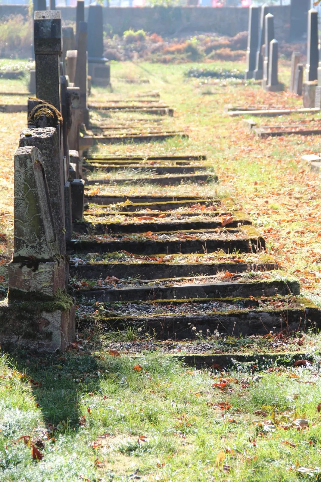 Вид на Синагогу в Рауентале, Кобленц