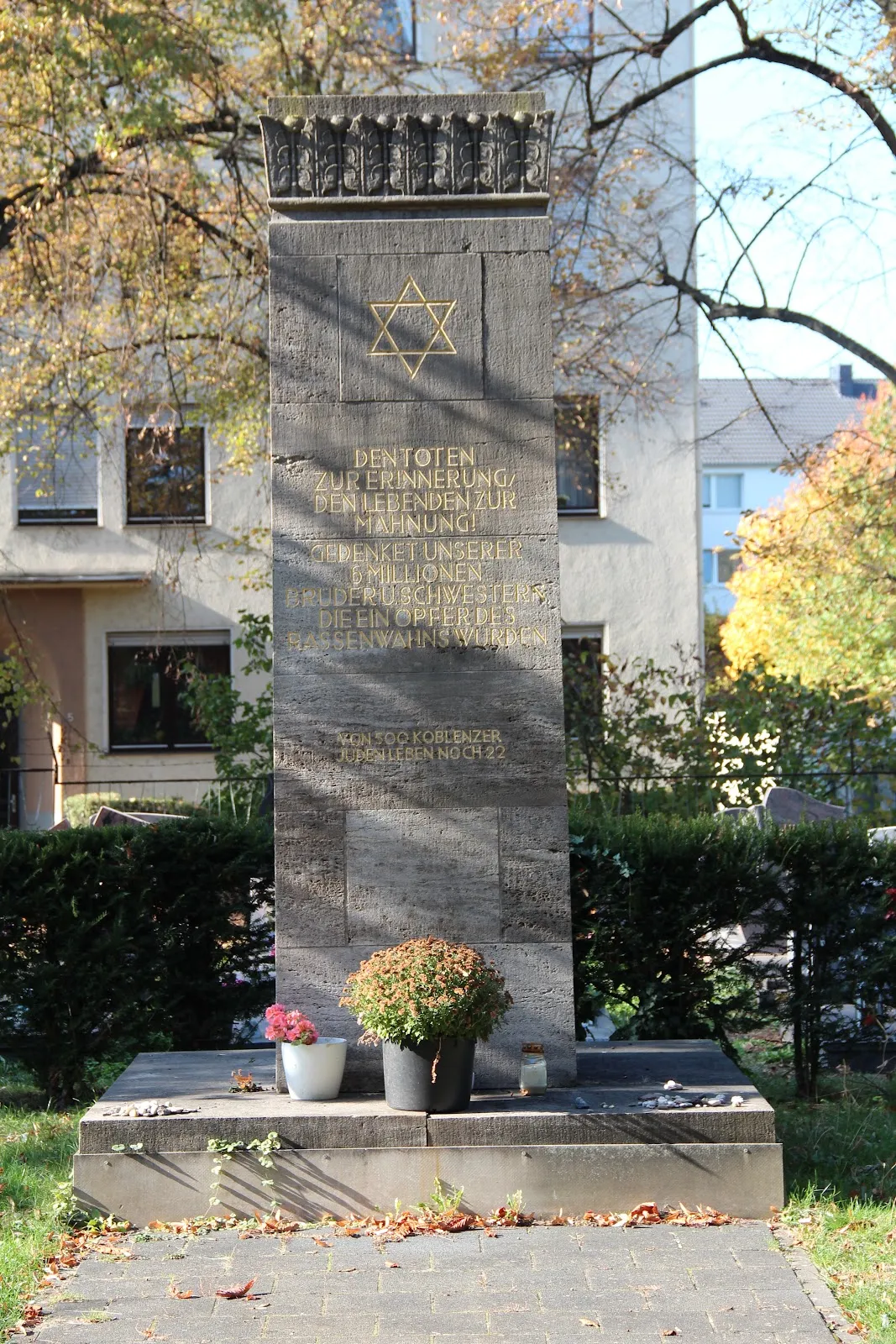 Вид на Синагогу в Рауентале, Кобленц