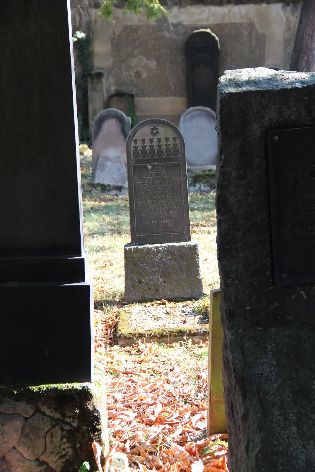 Вид на Синагогу в Рауентале, Кобленц