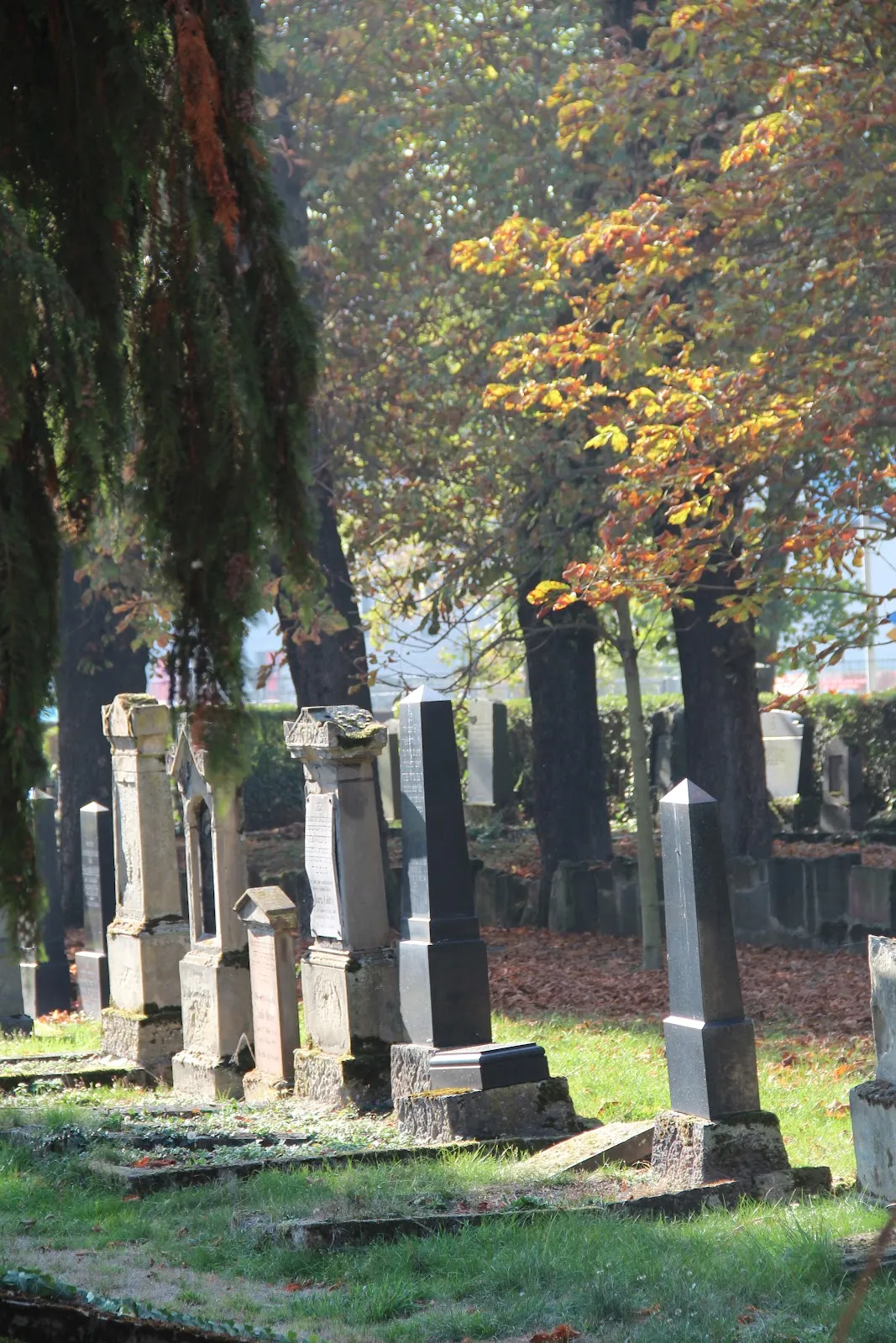 Вид на Синагогу в Рауентале, Кобленц