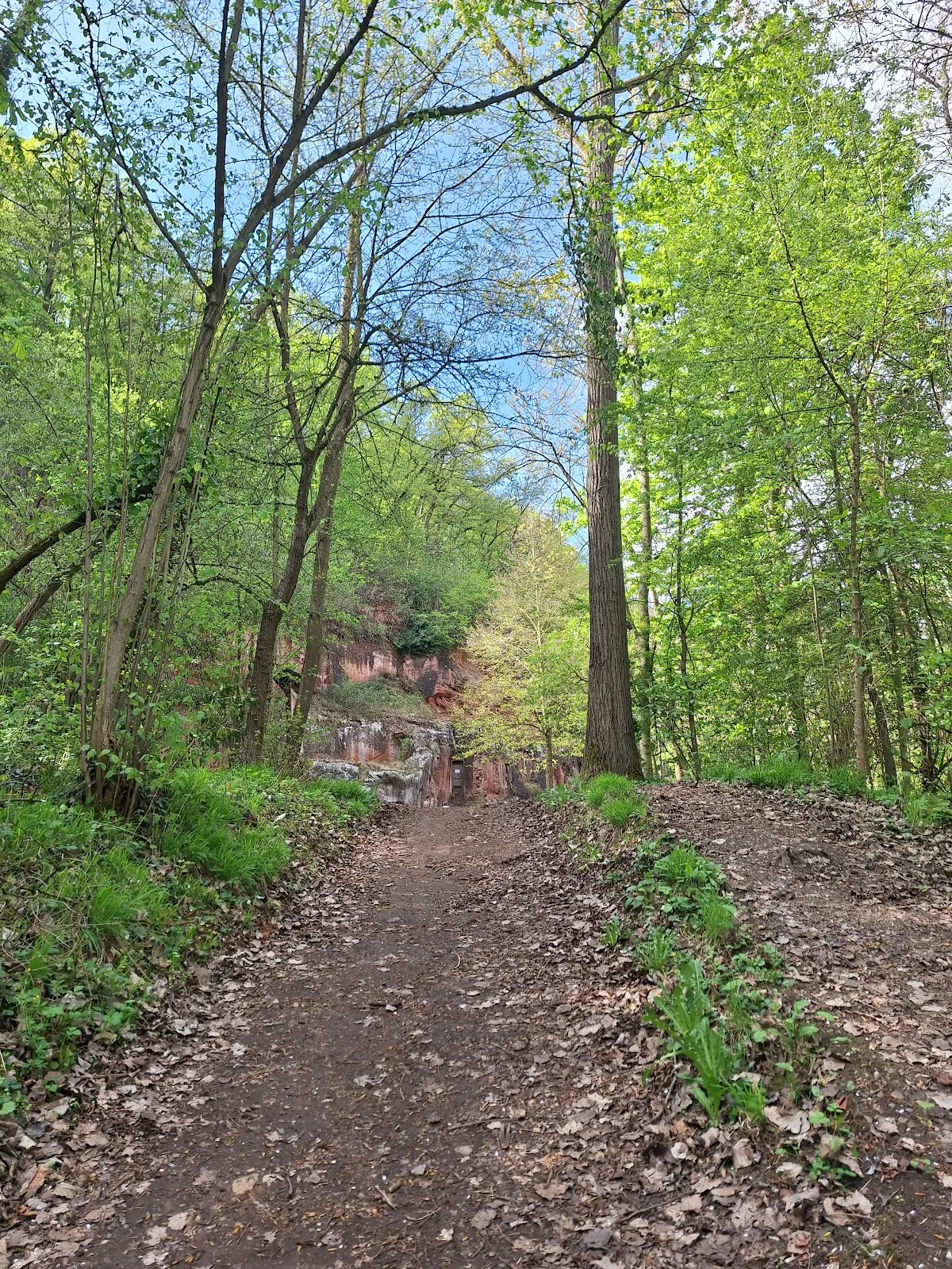 Вид на Скалу-Эрмитаж, монастырь, высеченный в скале, в Германии