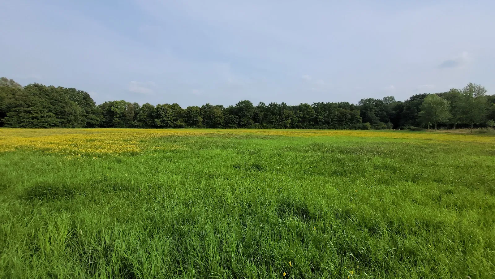 Вид с смотровой башни Липпе на долину реки.
