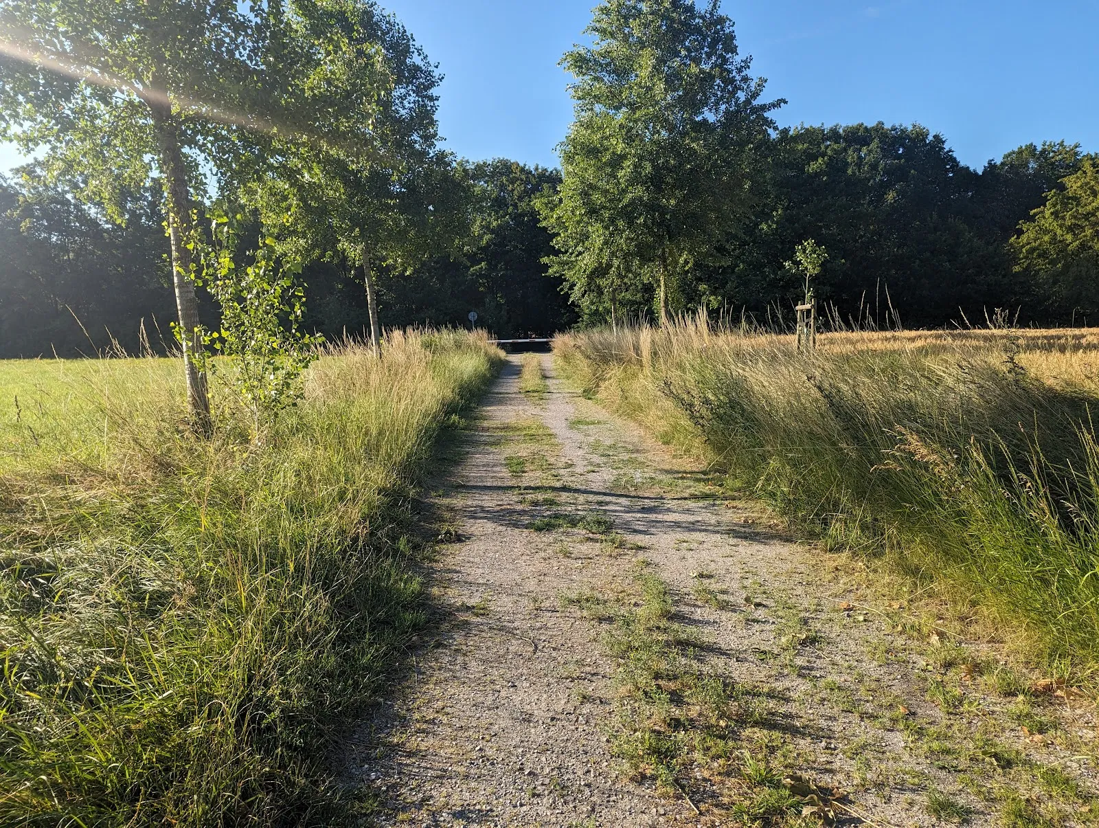 Вид с смотровой башни Липпе на долину реки.