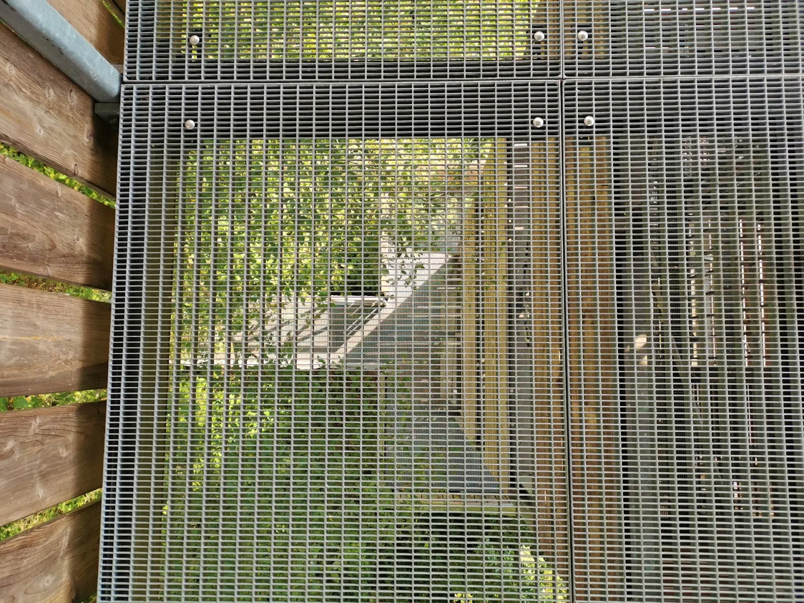 Вид с смотровой башни Липпе на долину реки.