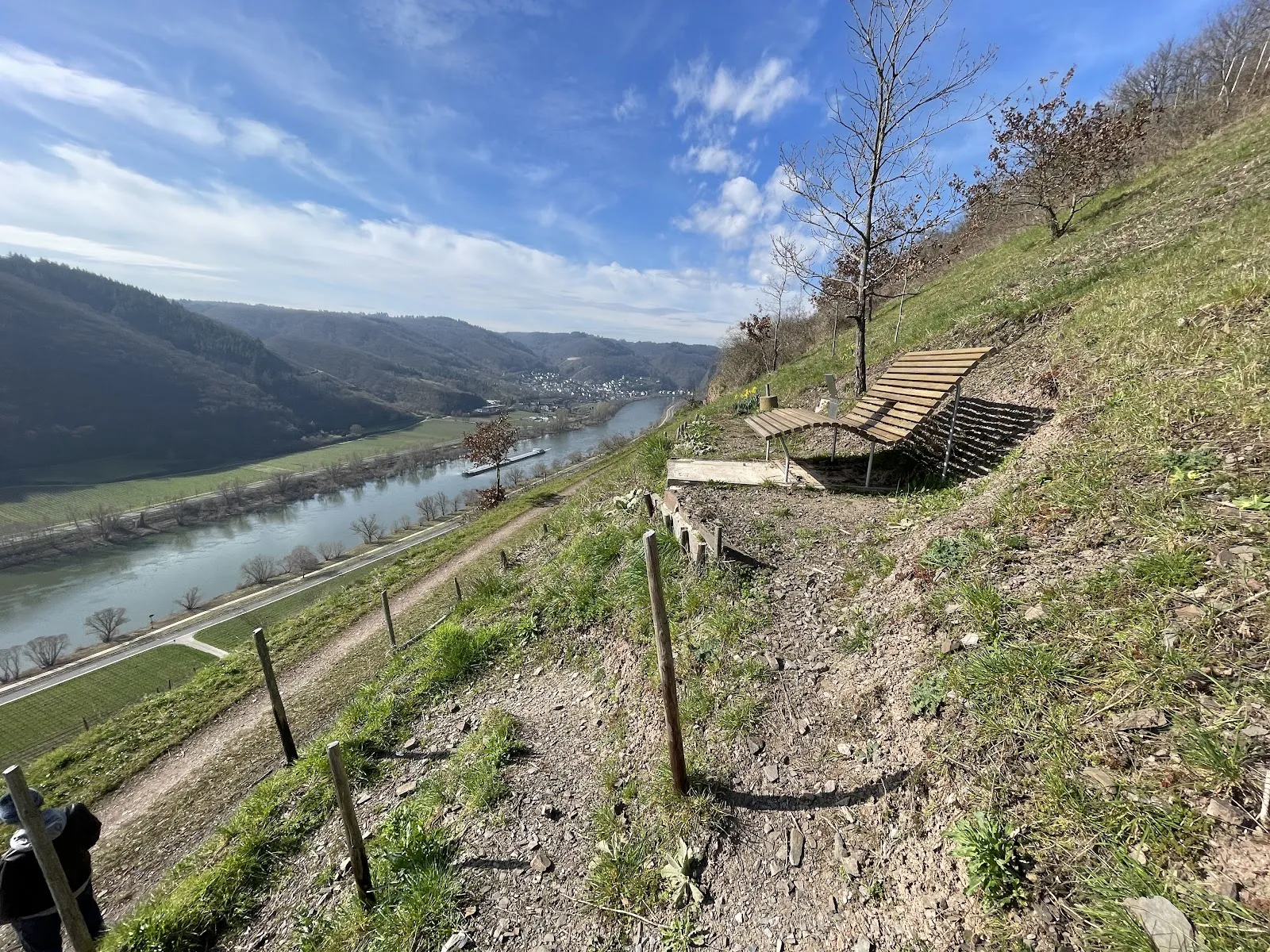 Панорамный вид на долину Мозеля и виноградники со смотровой площадки в Фальвиге.