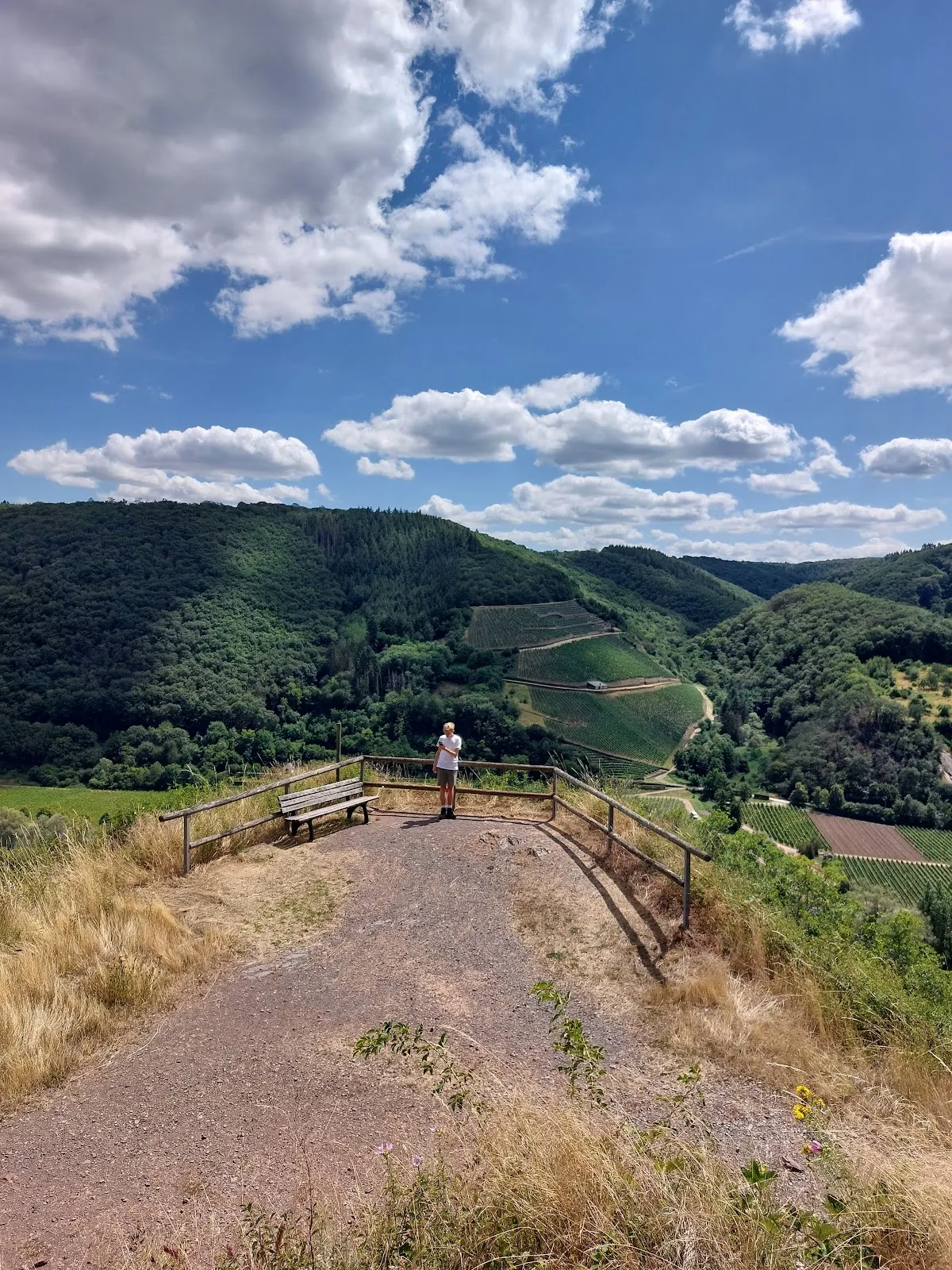 Панорамный вид на долину Мозеля и виноградники со смотровой площадки в Фальвиге.