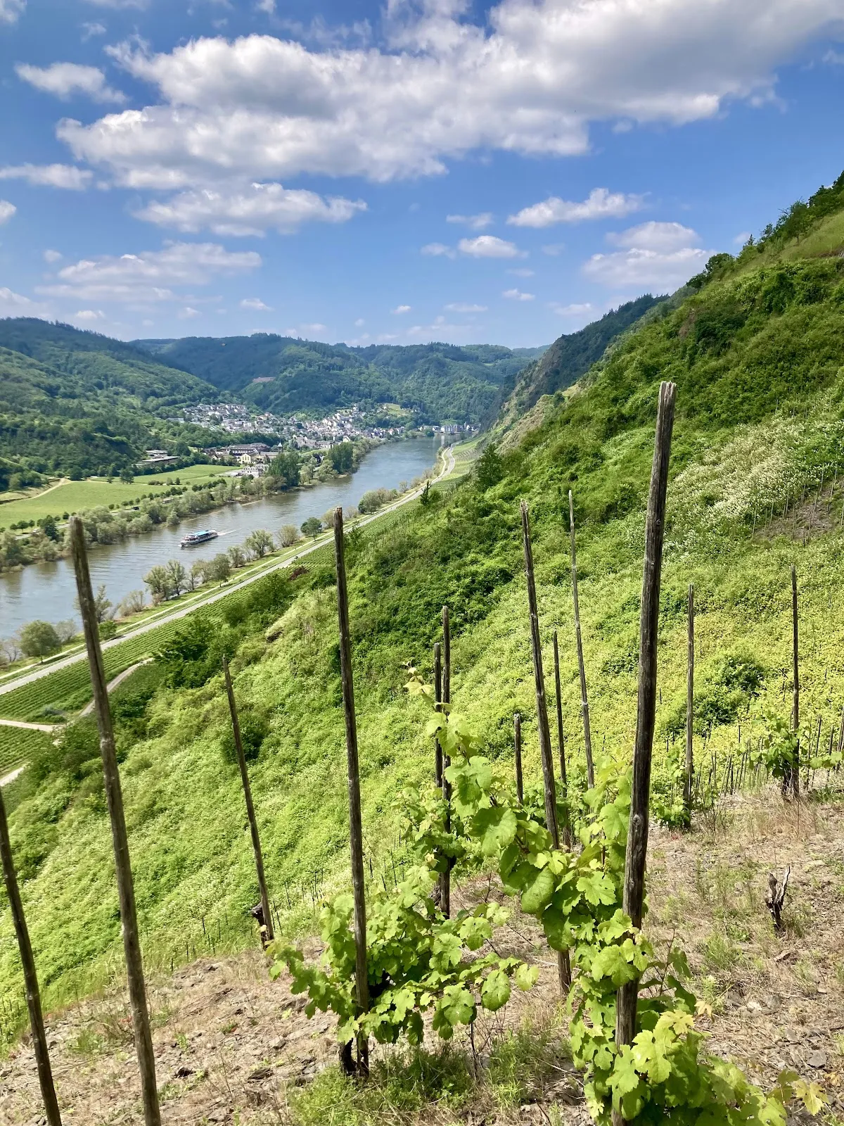 Панорамный вид на долину Мозеля и виноградники со смотровой площадки в Фальвиге.