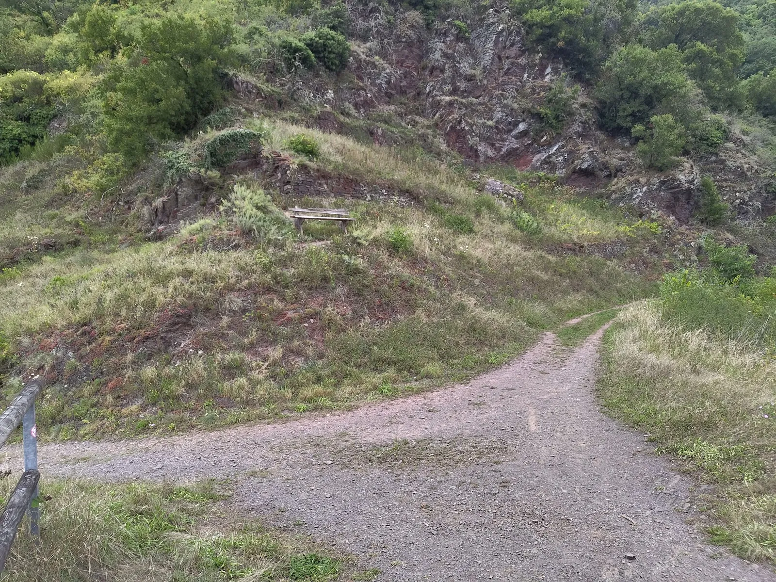 Панорамный вид на долину Мозеля и виноградники со смотровой площадки в Фальвиге.