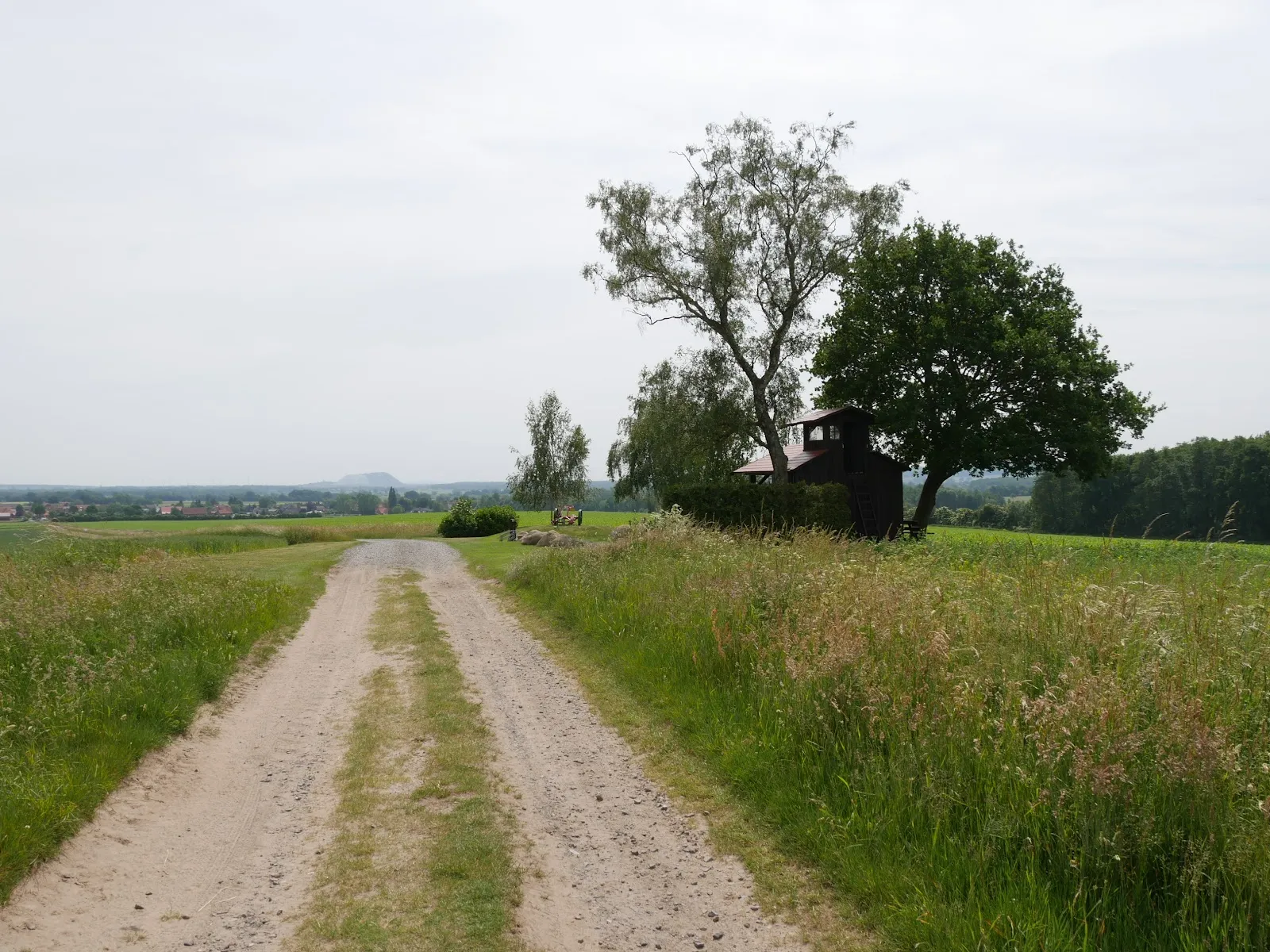 Вид с смотровой площадки Харберг