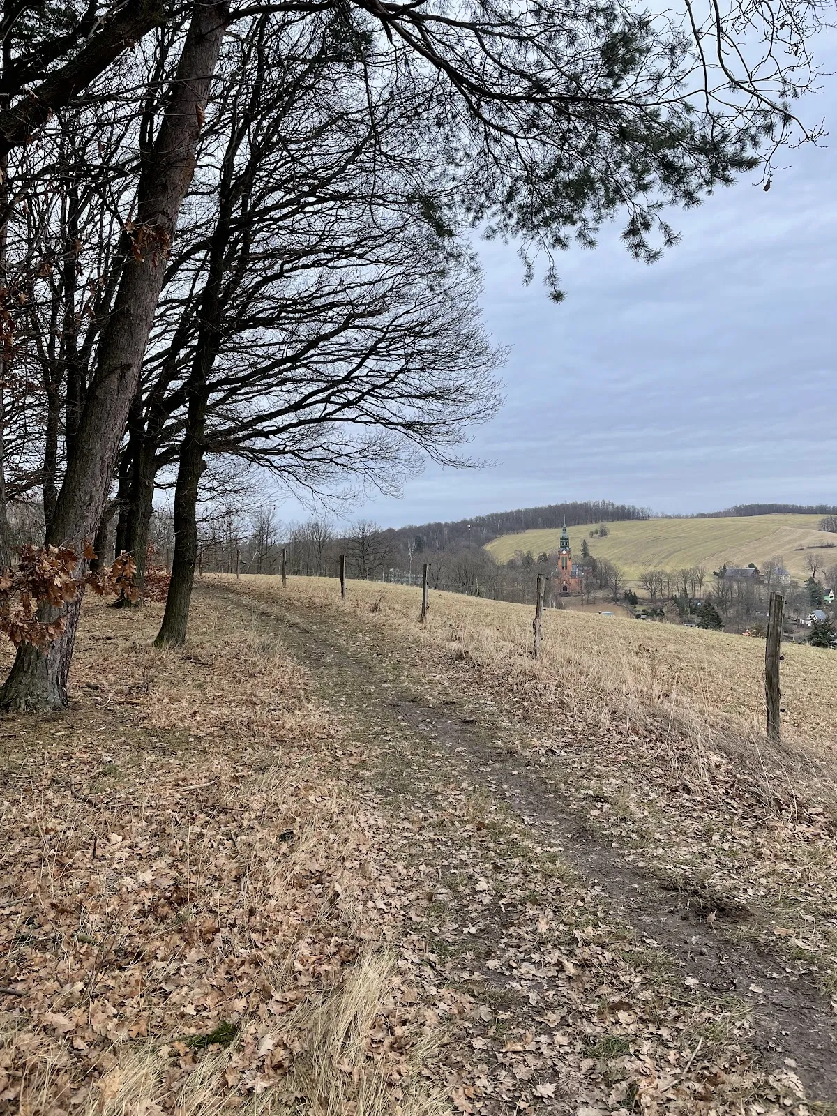 Панорамный вид с обзорной площадки Хартау на долину и город
