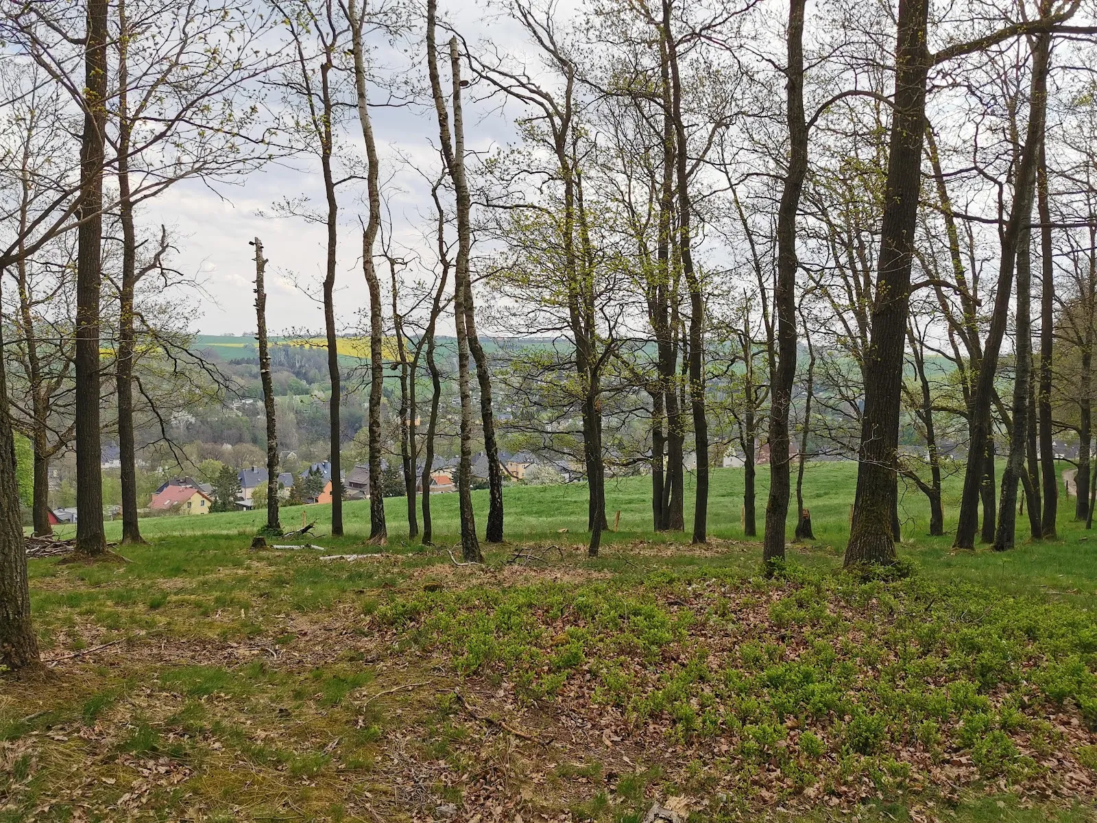 Панорамный вид с обзорной площадки Хартау на долину и город