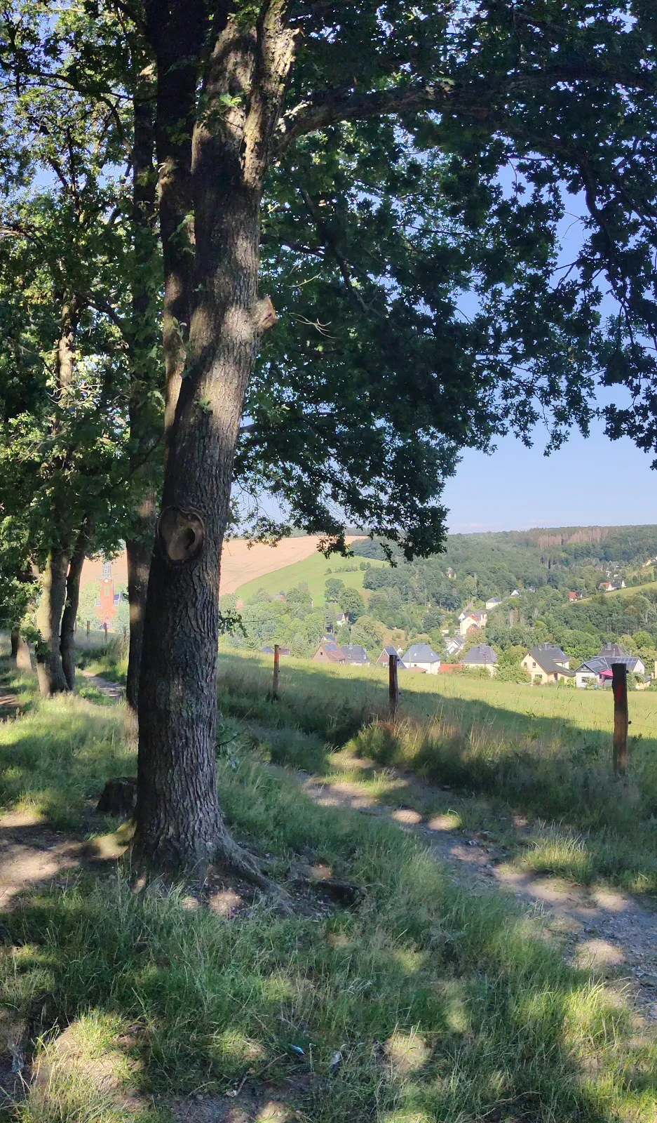 Панорамный вид с обзорной площадки Хартау на долину и город