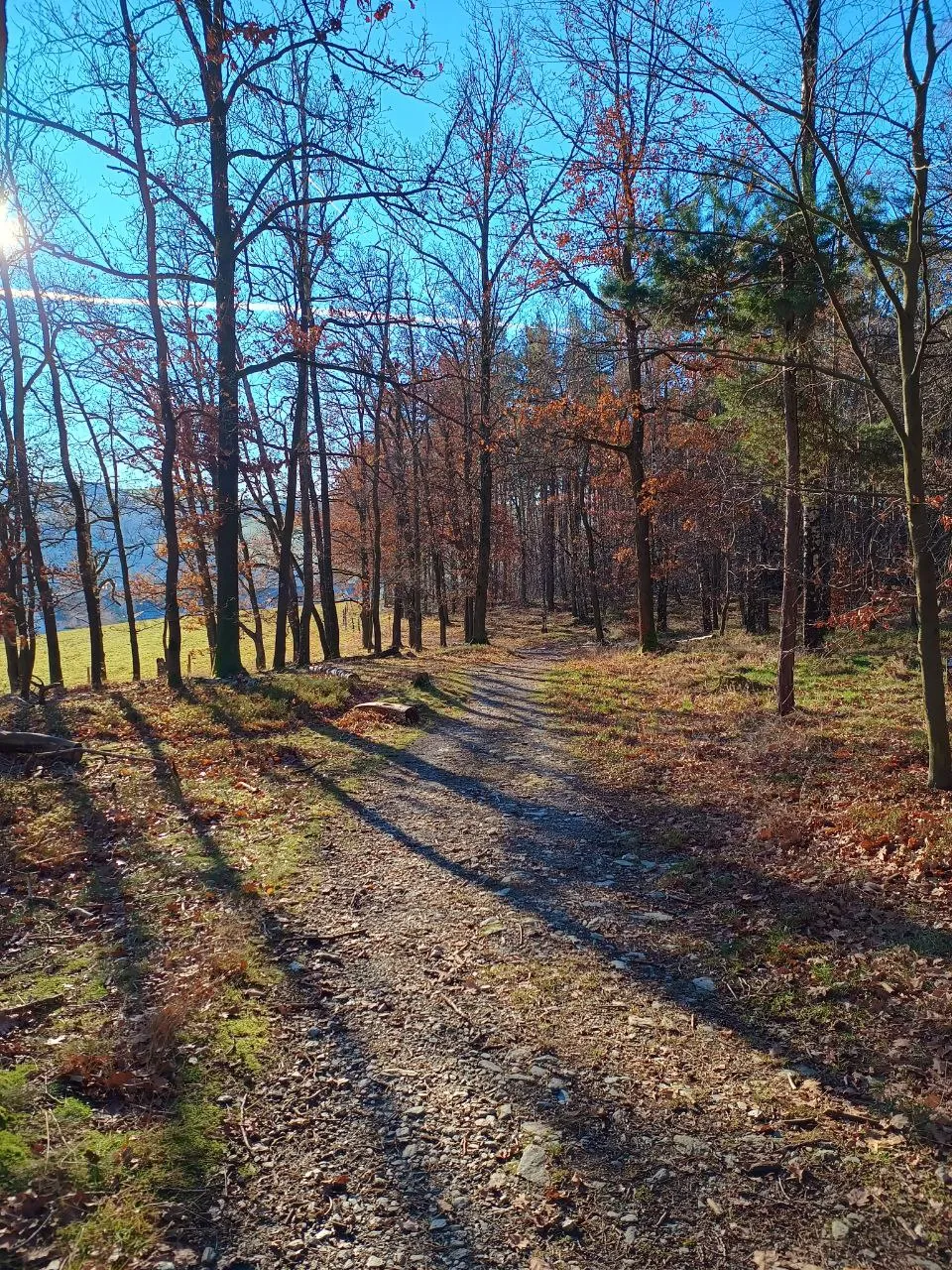 Панорамный вид с обзорной площадки Хартау на долину и город