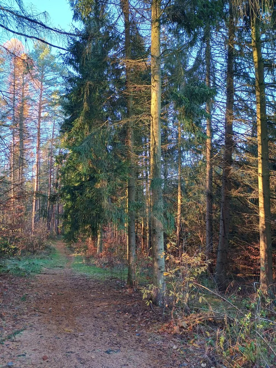 Панорамный вид с обзорной площадки Хартау на долину и город