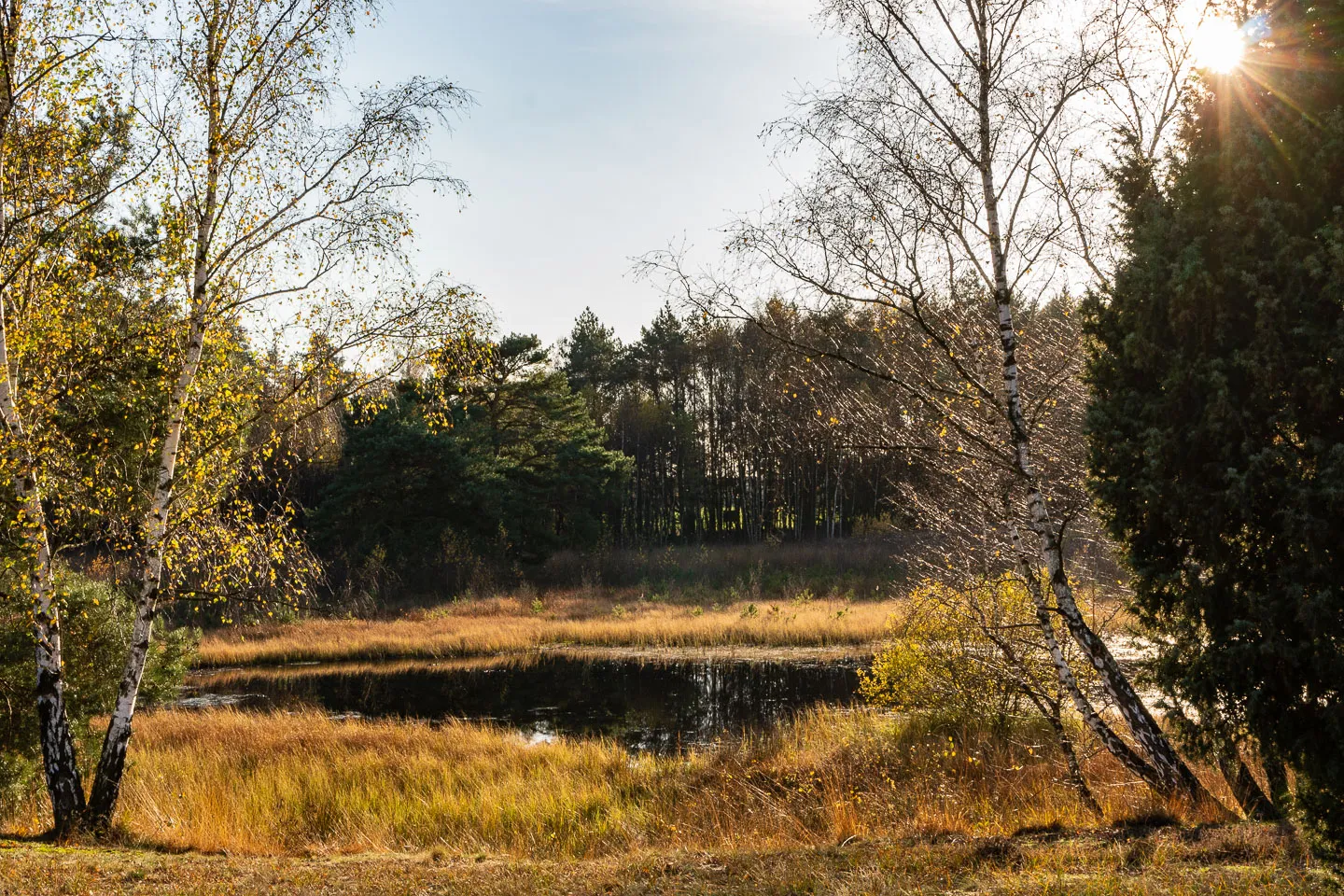 Смотровая площадка природного заповедника Бланкес Флат