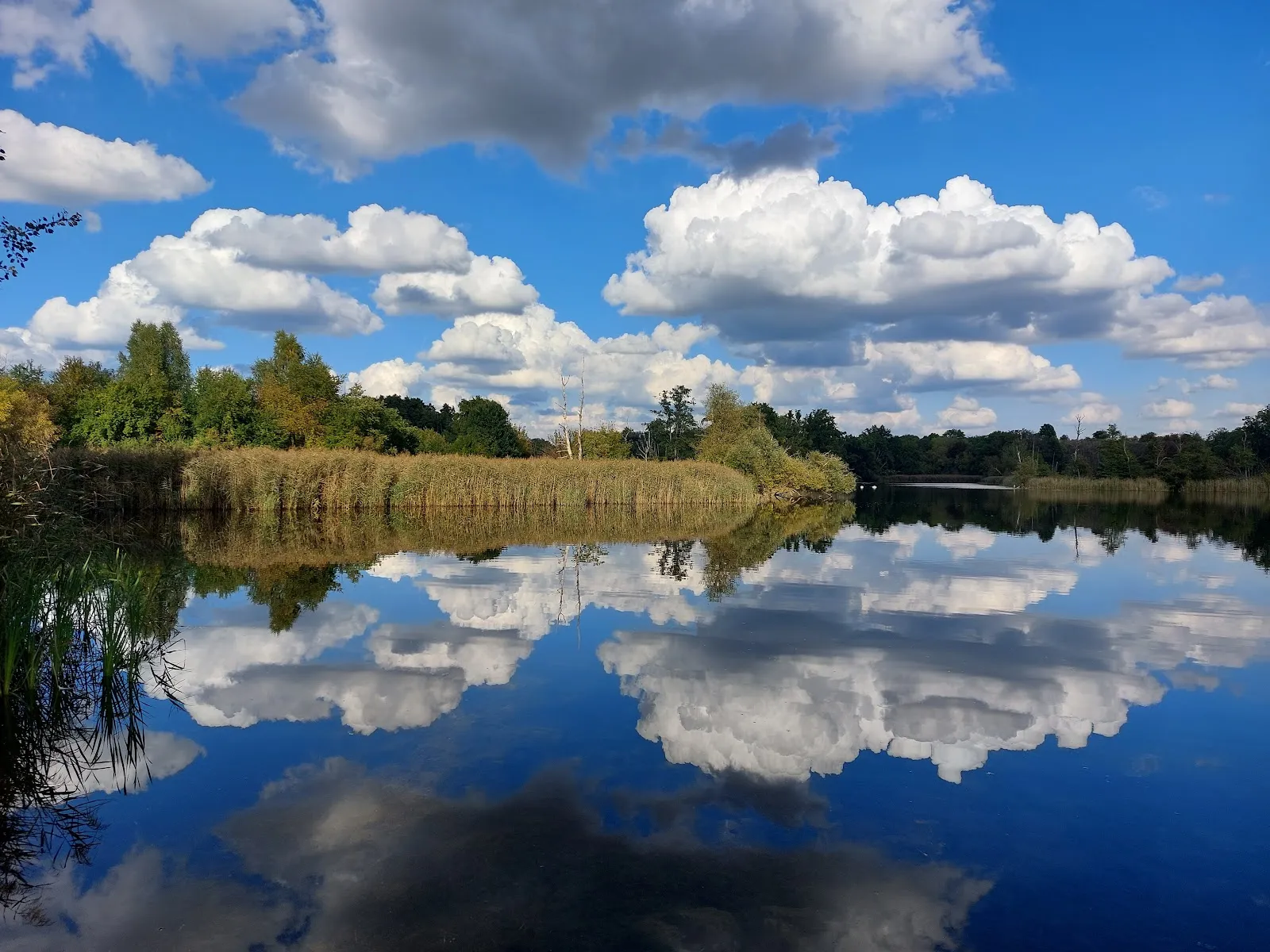 Вид со смотровой площадки на озеро Кёпхензее в Берлине