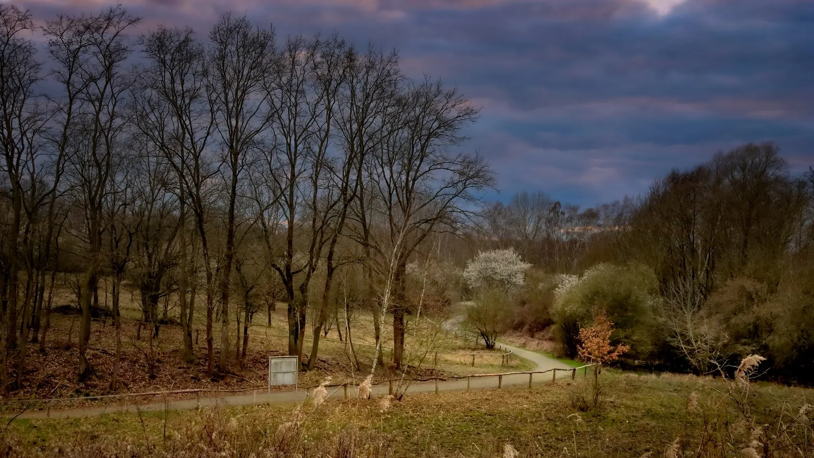 Вид со смотровой площадки на озеро Кёпхензее в Берлине