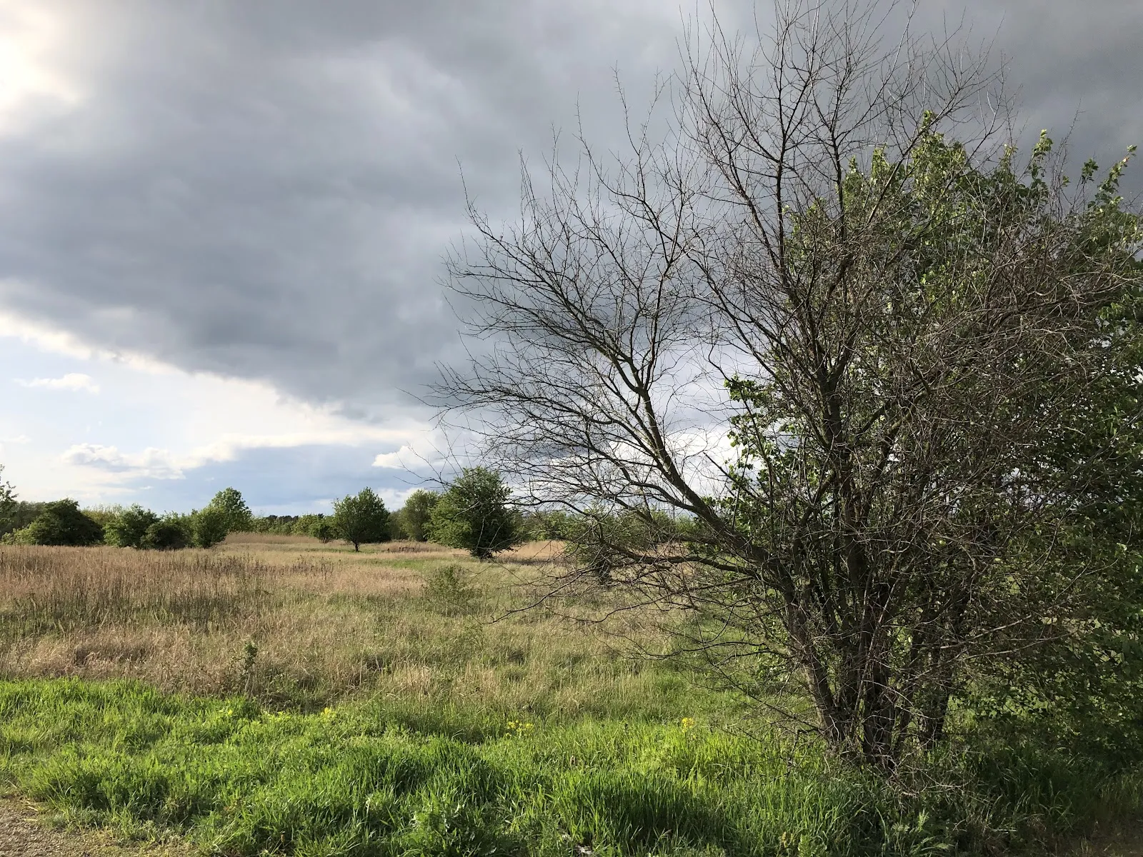 Вид со смотровой площадки на озеро Кёпхензее в Берлине