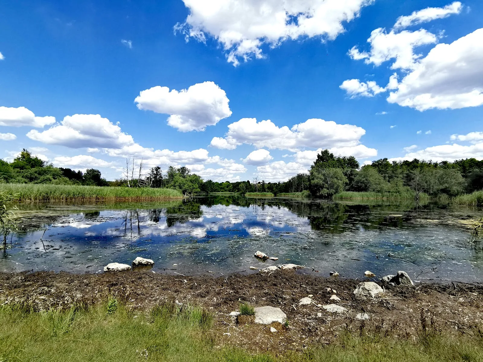 Вид со смотровой площадки на озеро Кёпхензее в Берлине