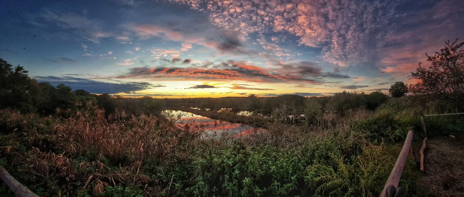 Вид со смотровой площадки на озеро Кёпхензее в Берлине