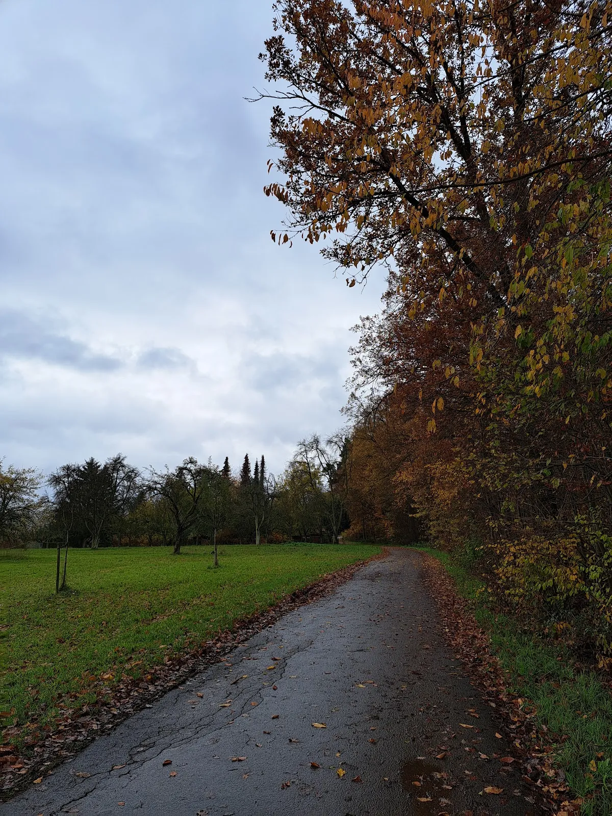 Смотровая площадка Вайдахер Хёэ