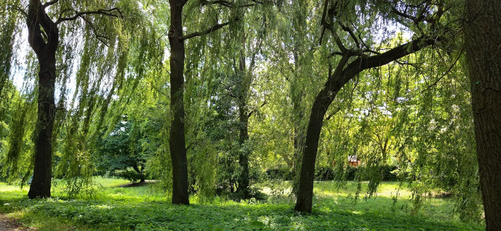 Смотровой мостик Mittelfeldbecken с видом на озеро