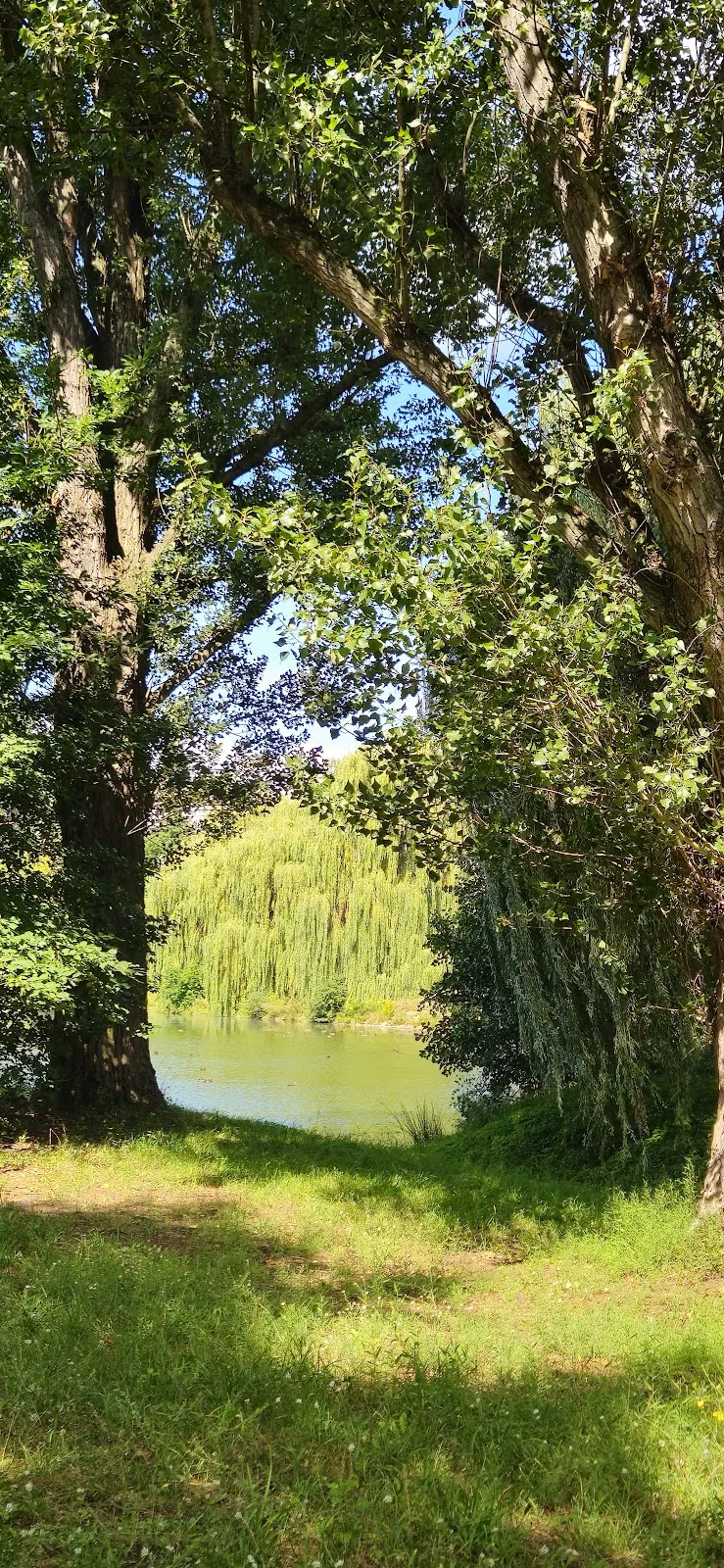 Смотровой мостик Mittelfeldbecken с видом на озеро