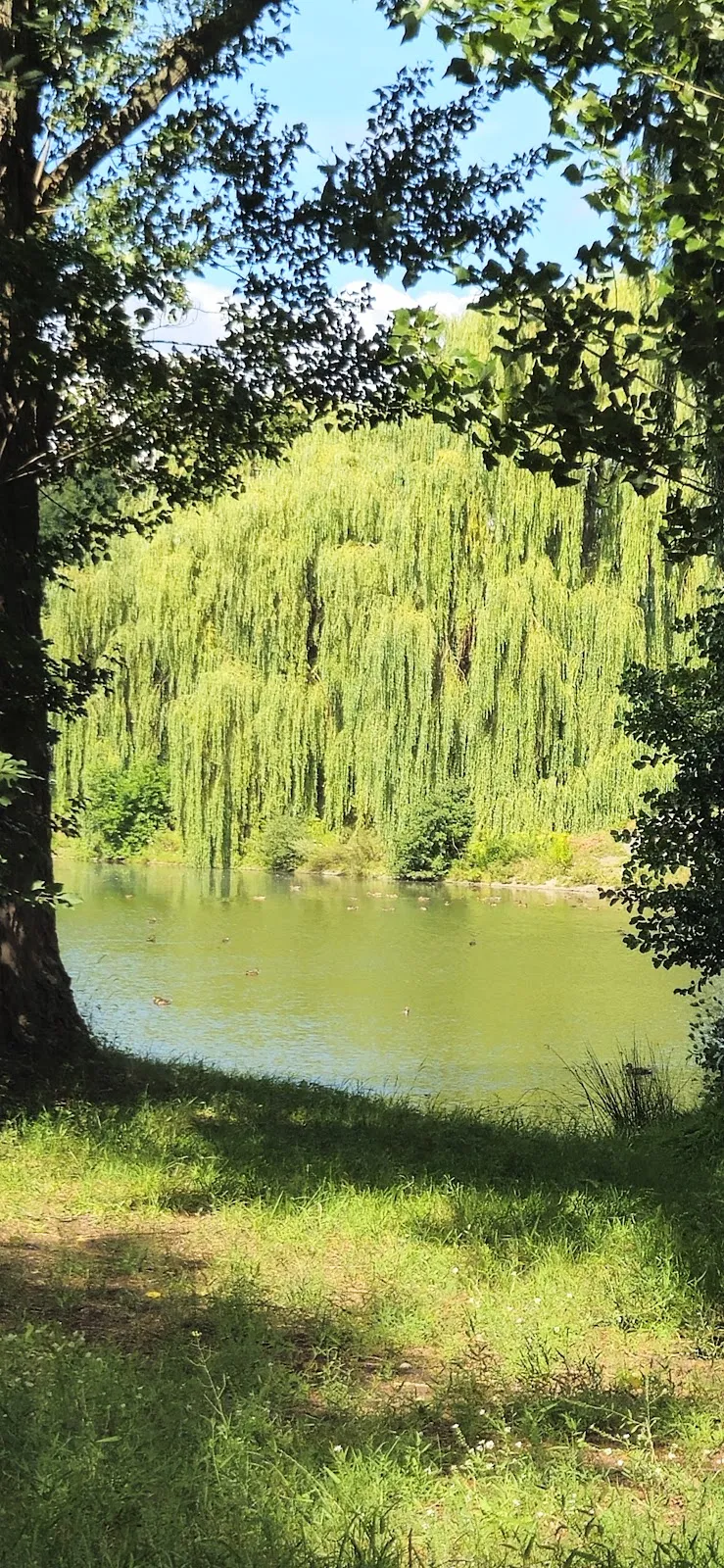 Смотровой мостик Mittelfeldbecken с видом на озеро