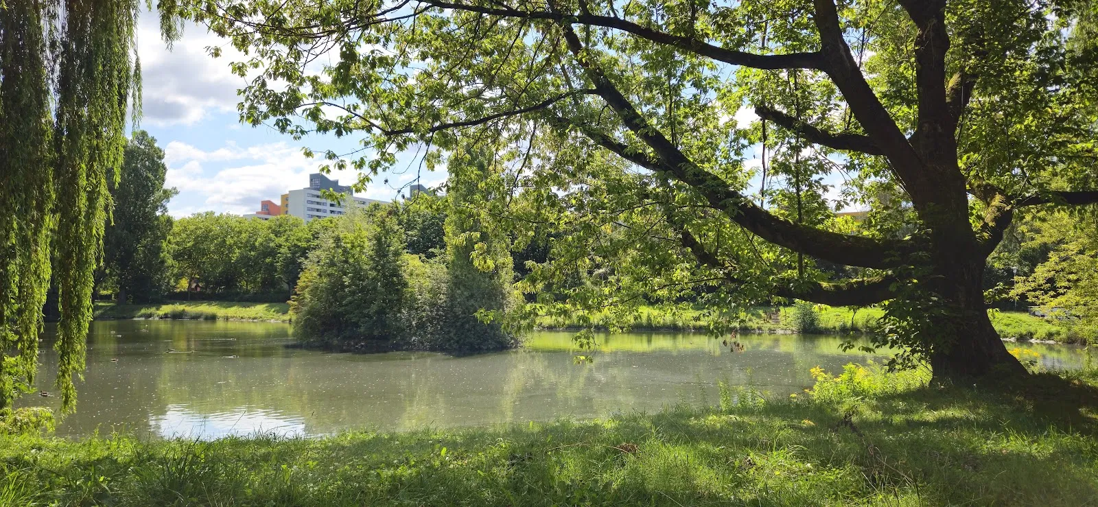 Смотровой мостик Mittelfeldbecken с видом на озеро