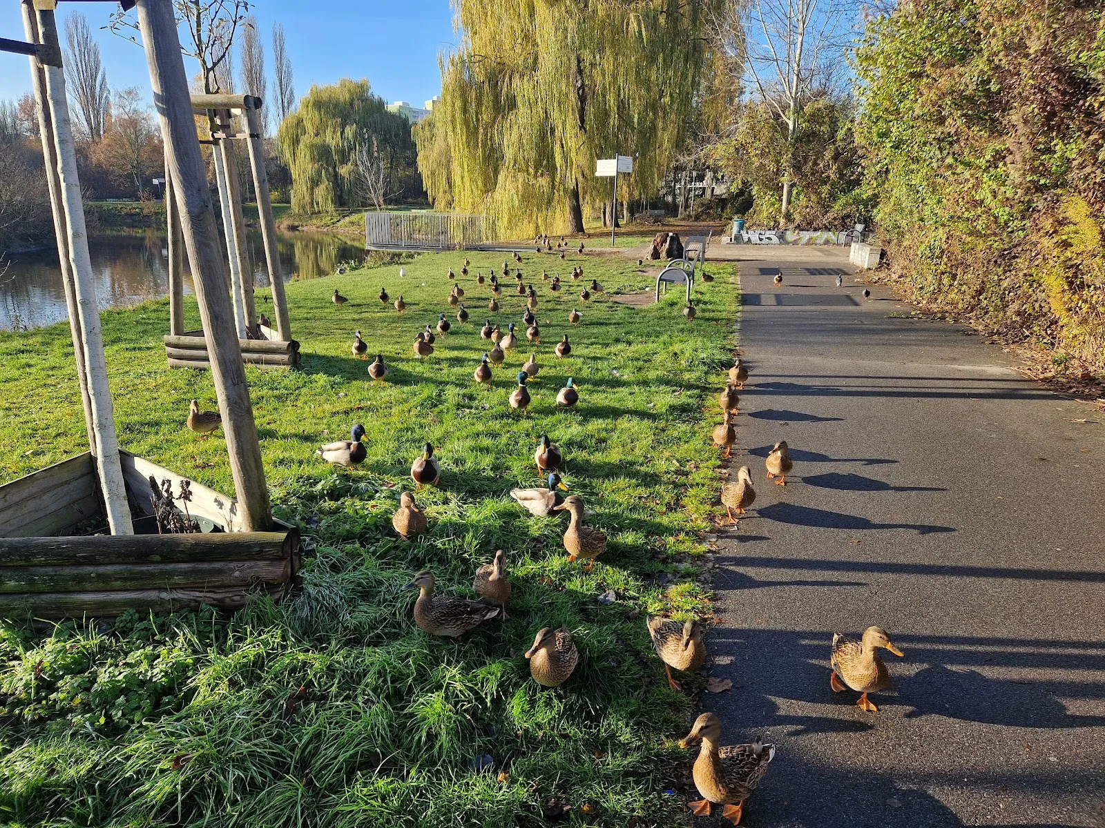 Смотровой мостик Mittelfeldbecken с видом на озеро