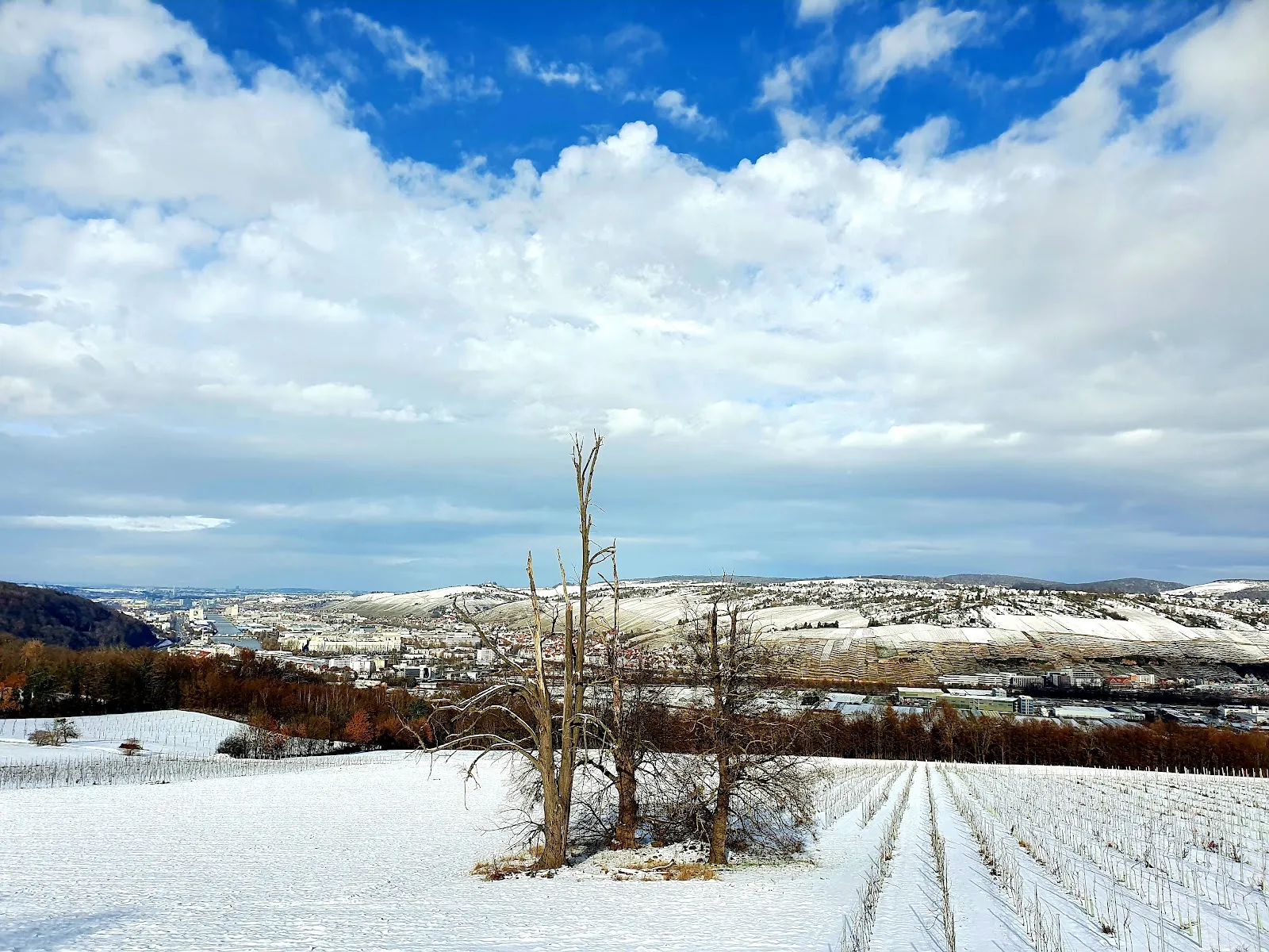 Панорамный вид со смотровой площадки в Остфильдерне