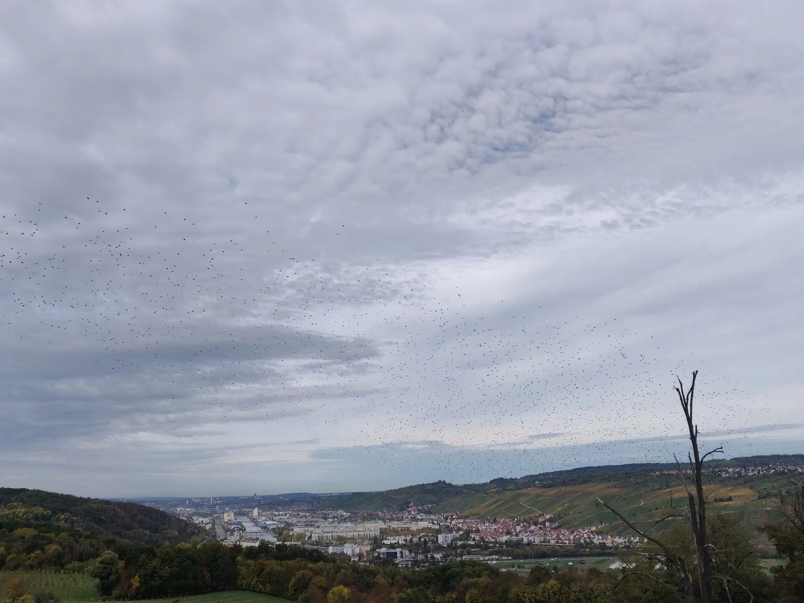 Панорамный вид со смотровой площадки в Остфильдерне