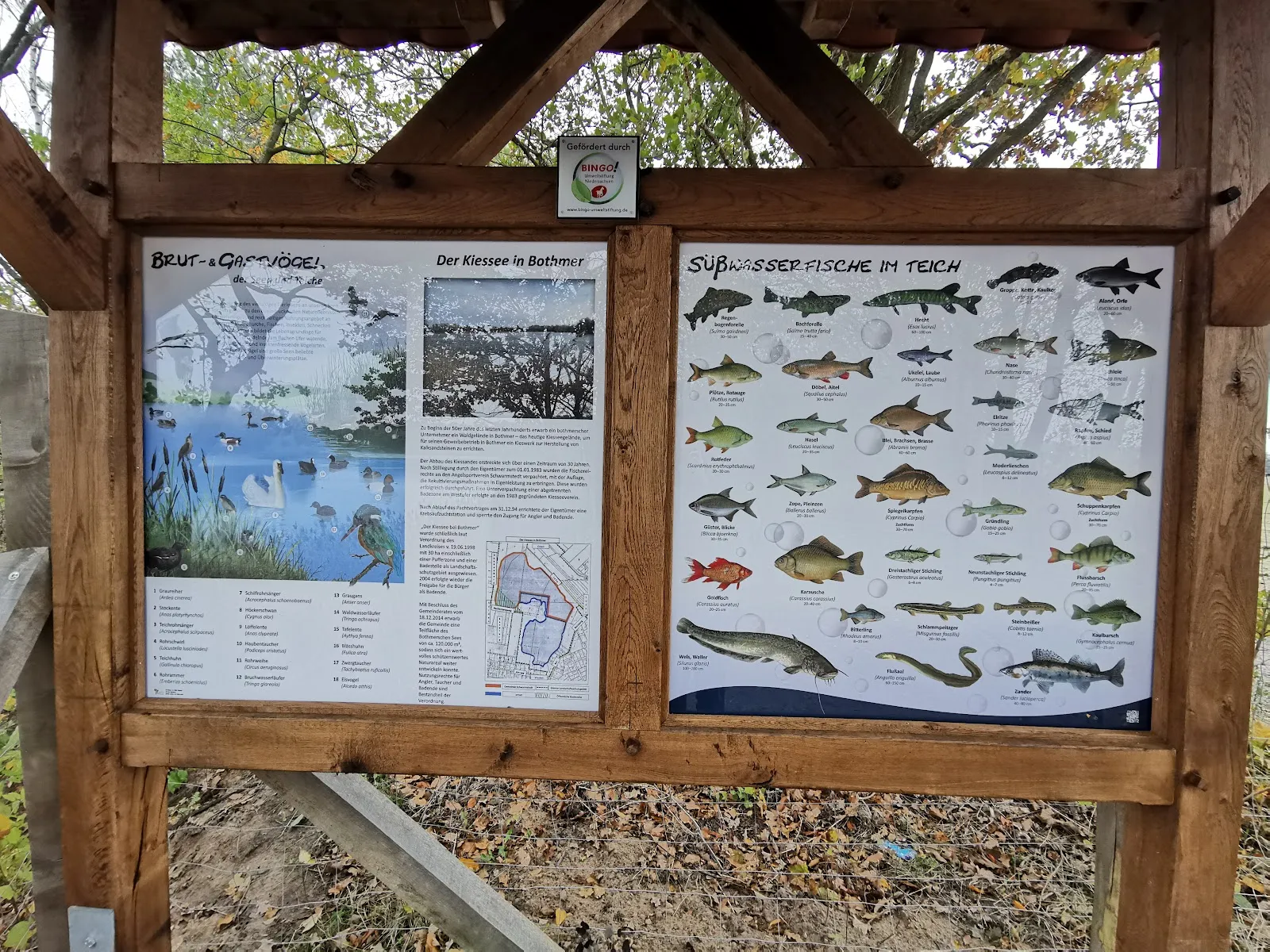 Вид на озеро Кизе со смотровой площадки