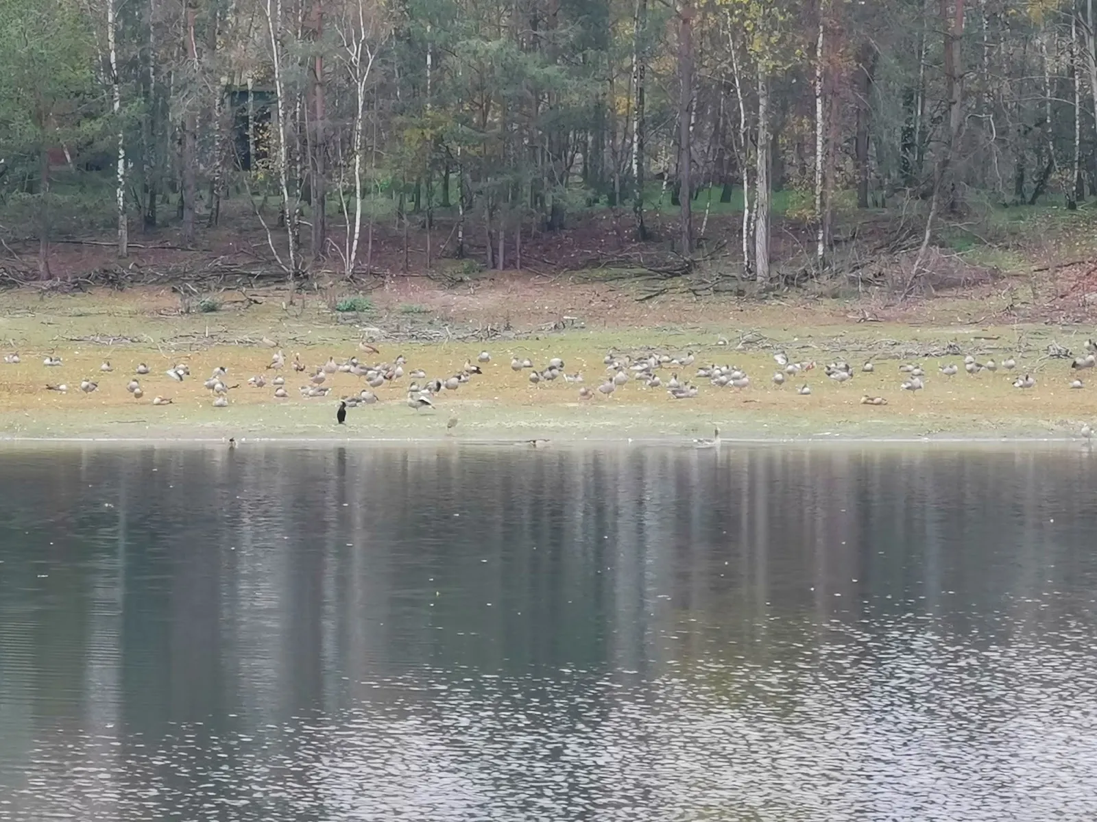 Вид на озеро Кизе со смотровой площадки