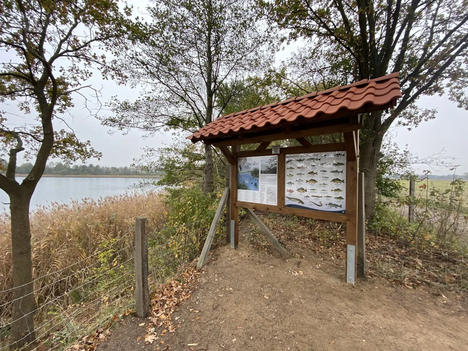 Вид на озеро Кизе со смотровой площадки