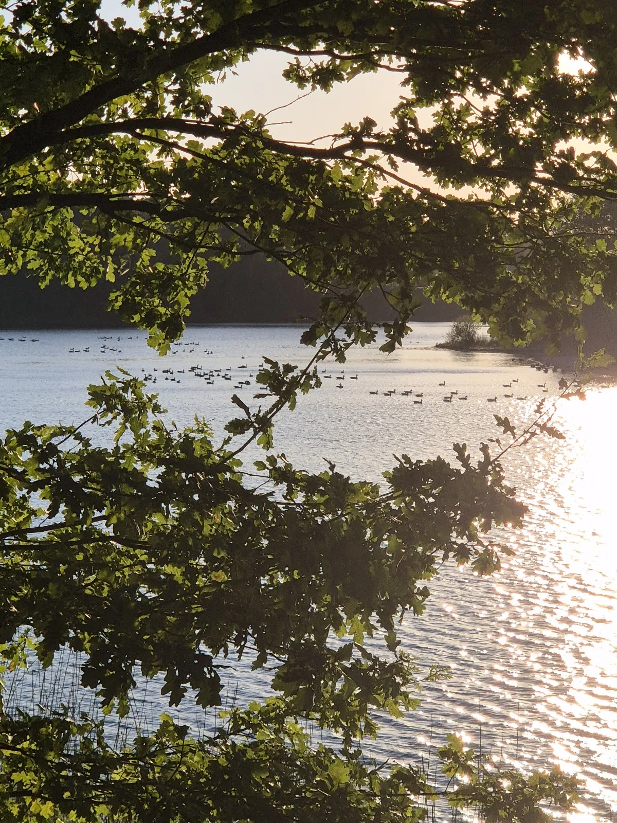 Вид на озеро Кизе со смотровой площадки