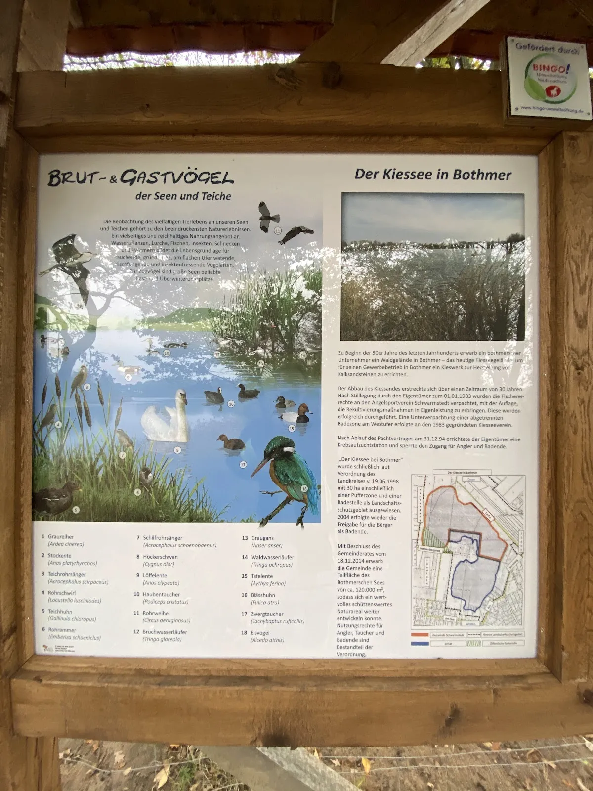 Вид на озеро Кизе со смотровой площадки