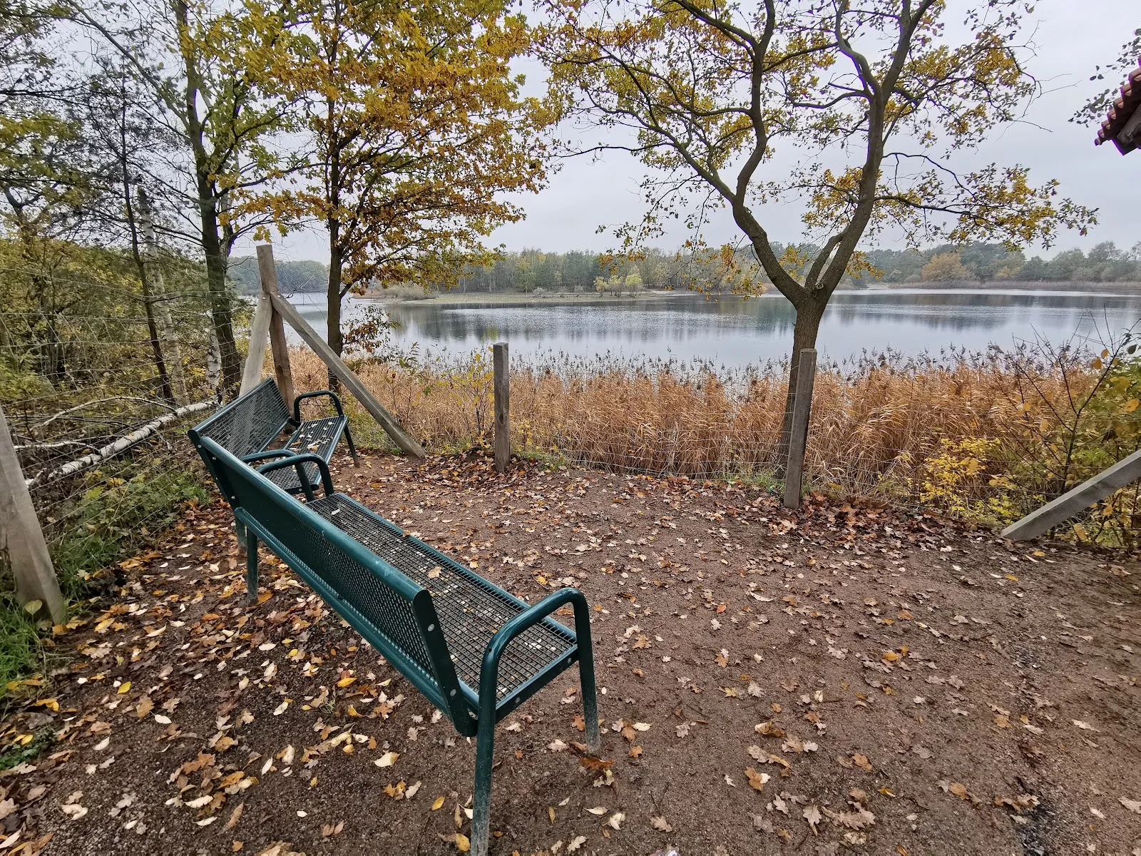 Вид на озеро Кизе со смотровой площадки