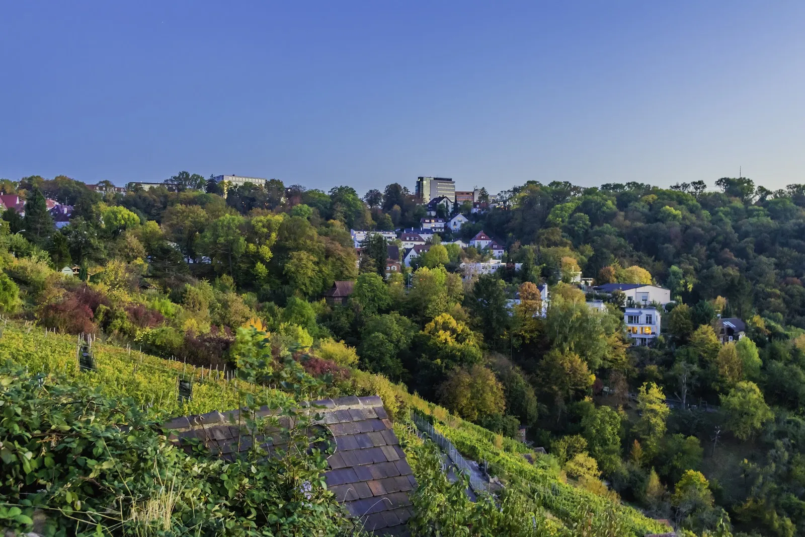 Смотровой пункт на Верхней горе