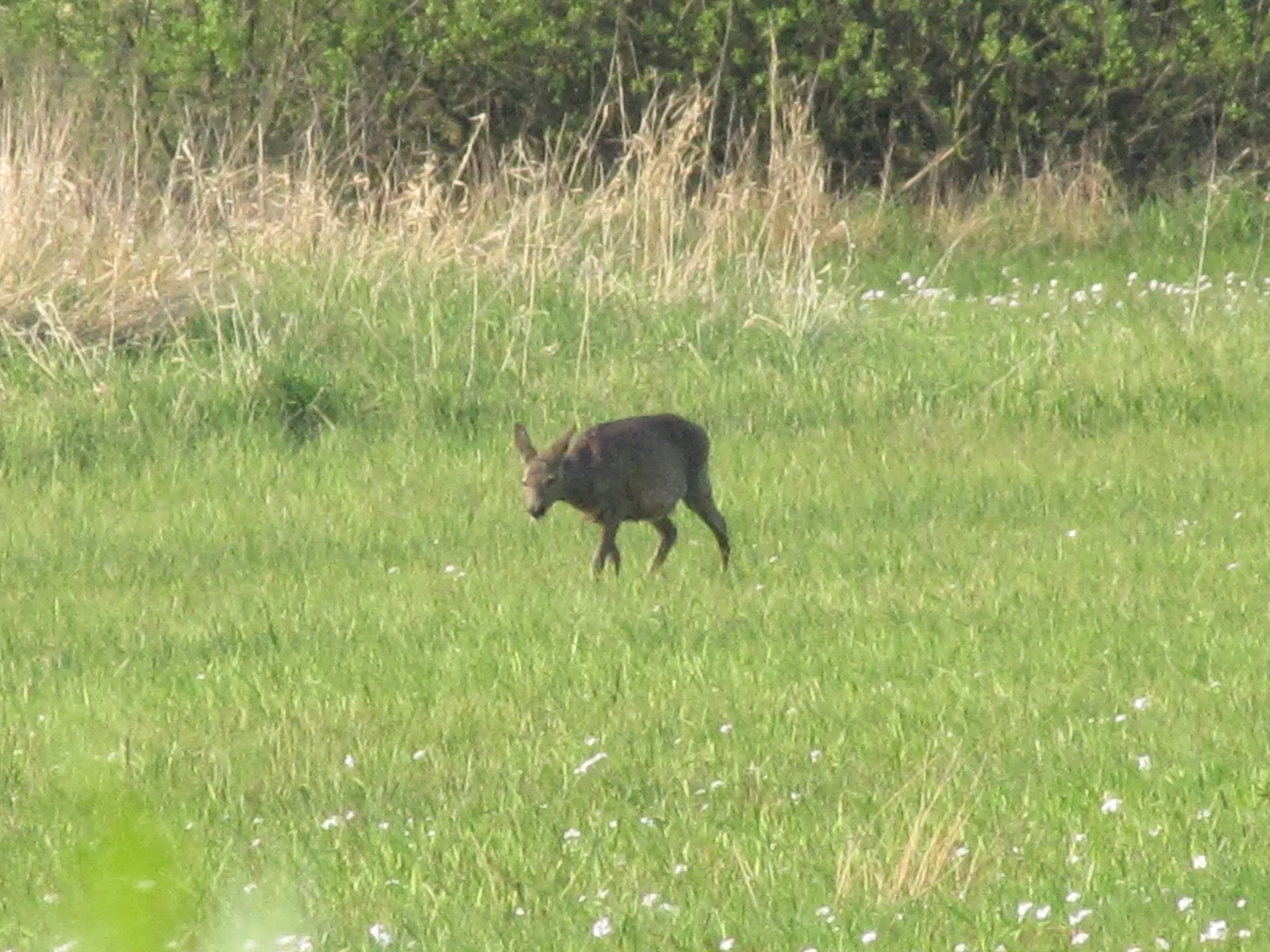 Смотровой пункт у дамбы Холлер в Бремене