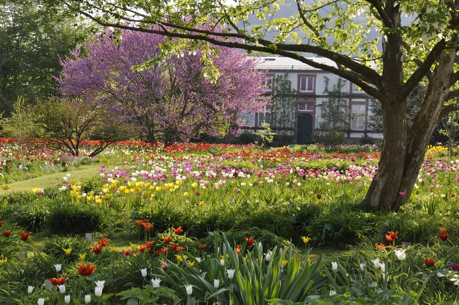Смотровой сад Хермансхоф
