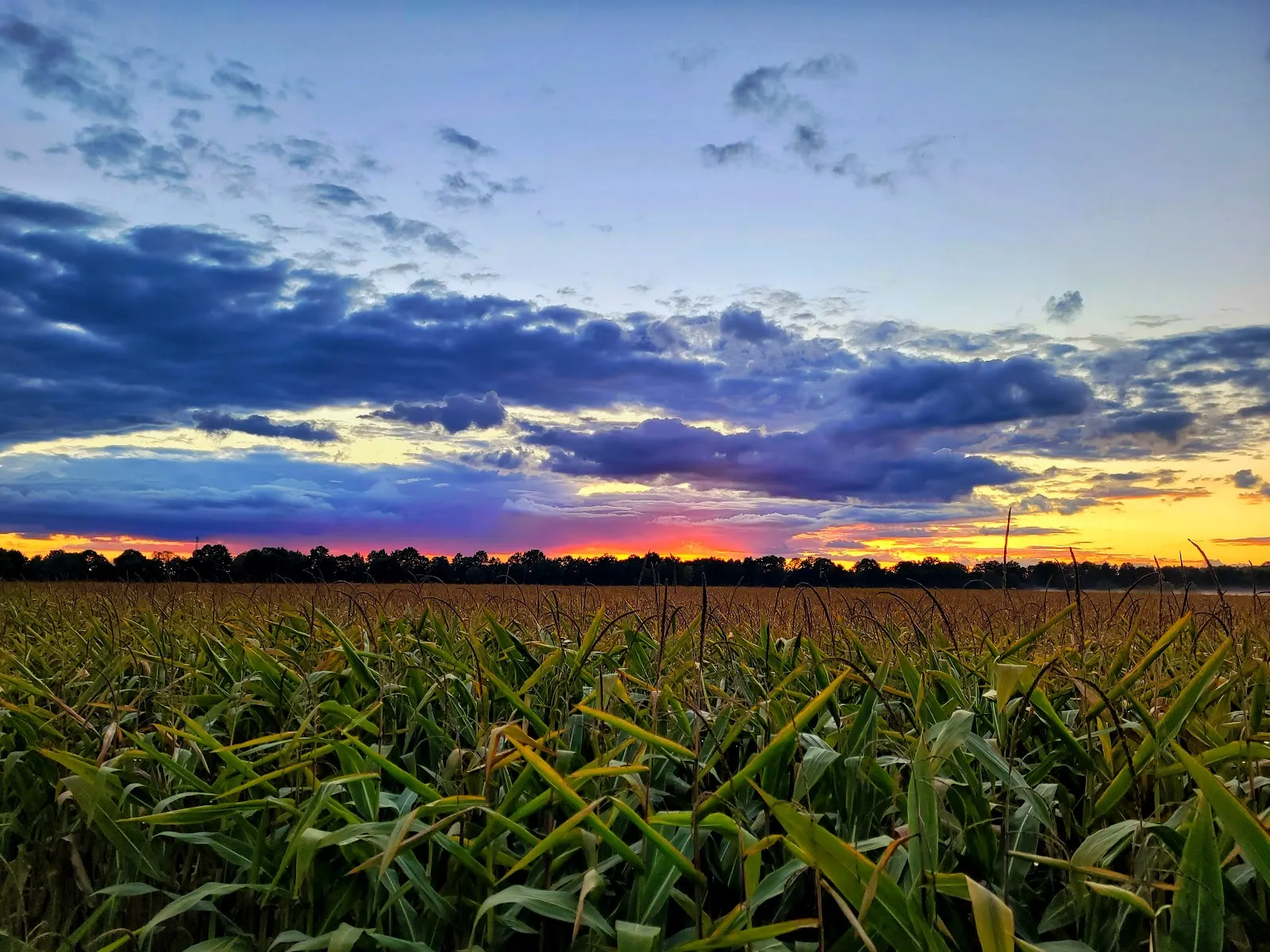 Вид на реку Хафель в природном парке Средний Хафель
