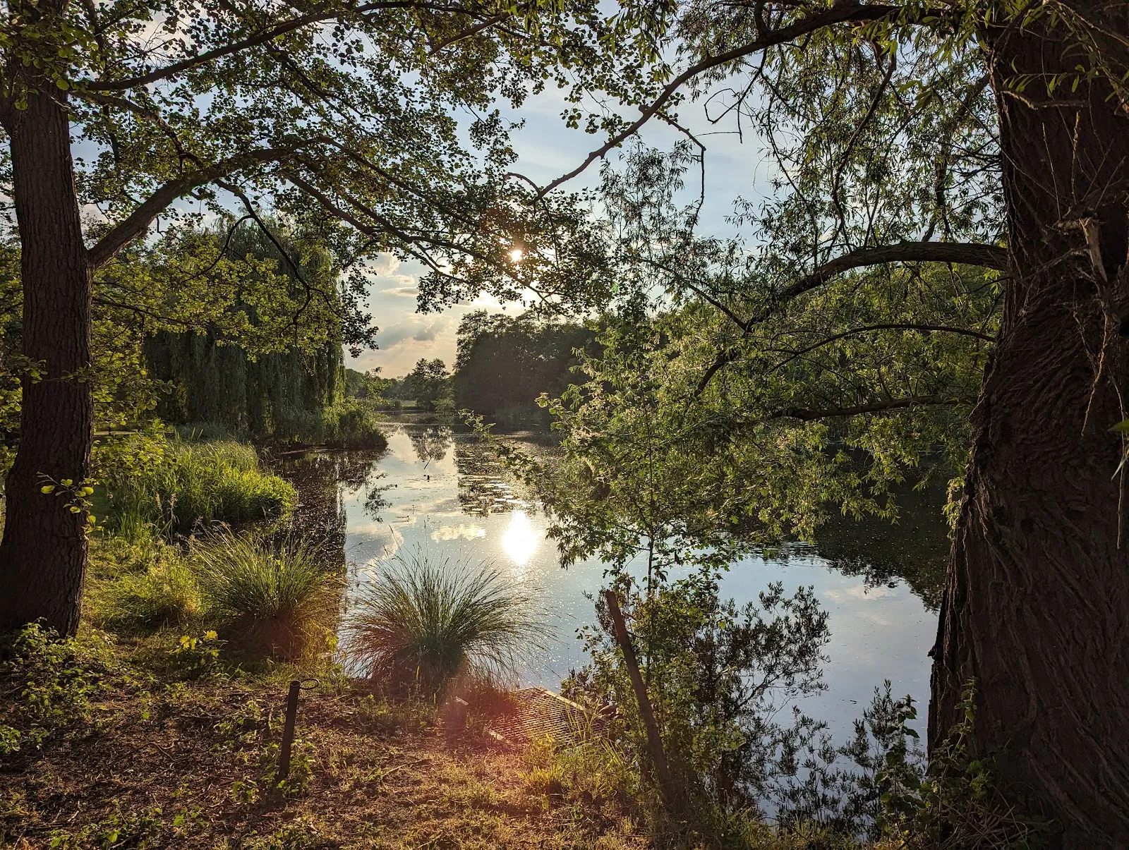 Вид на реку Хафель в природном парке Средний Хафель