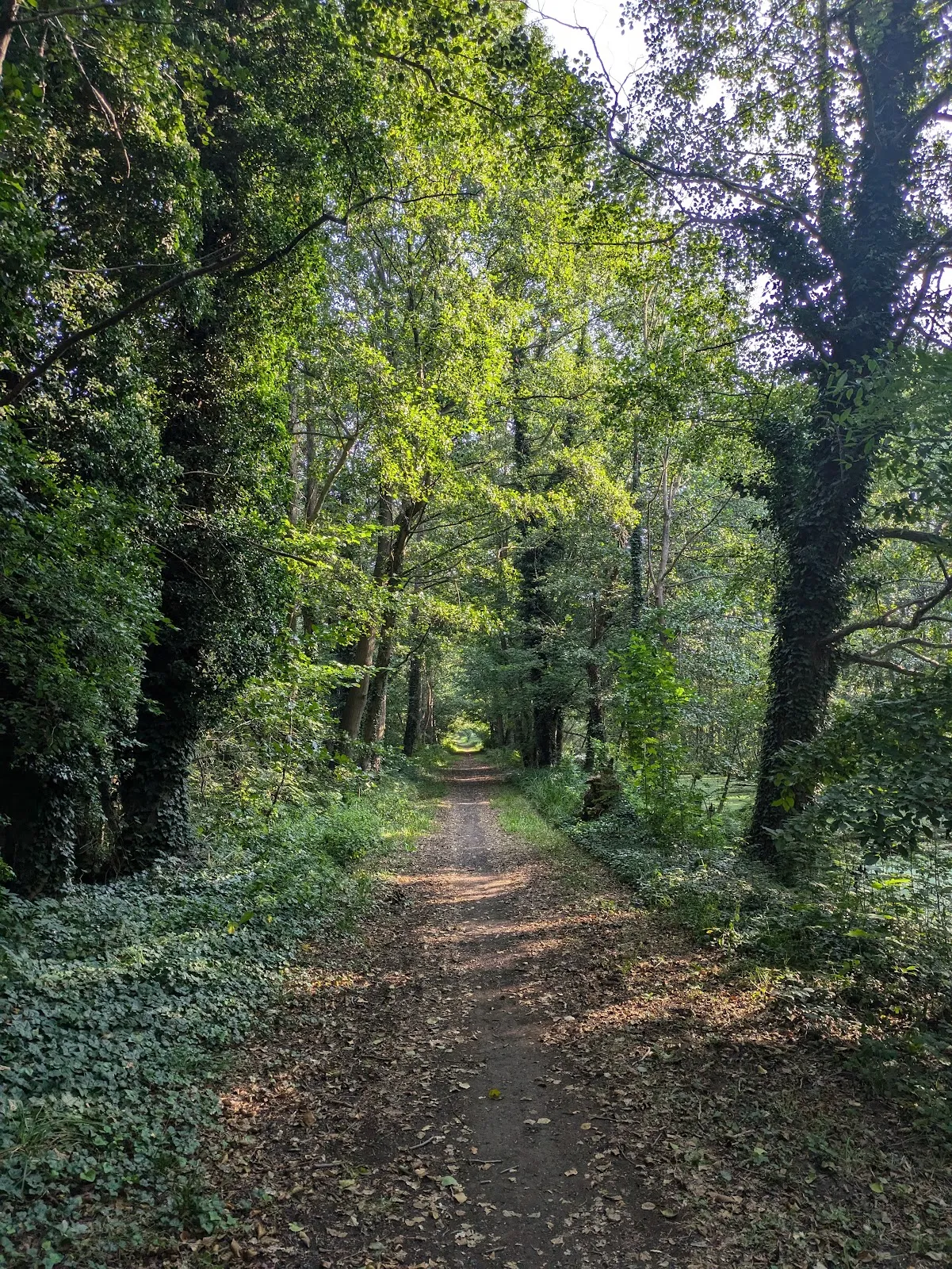 Вид на реку Хафель в природном парке Средний Хафель