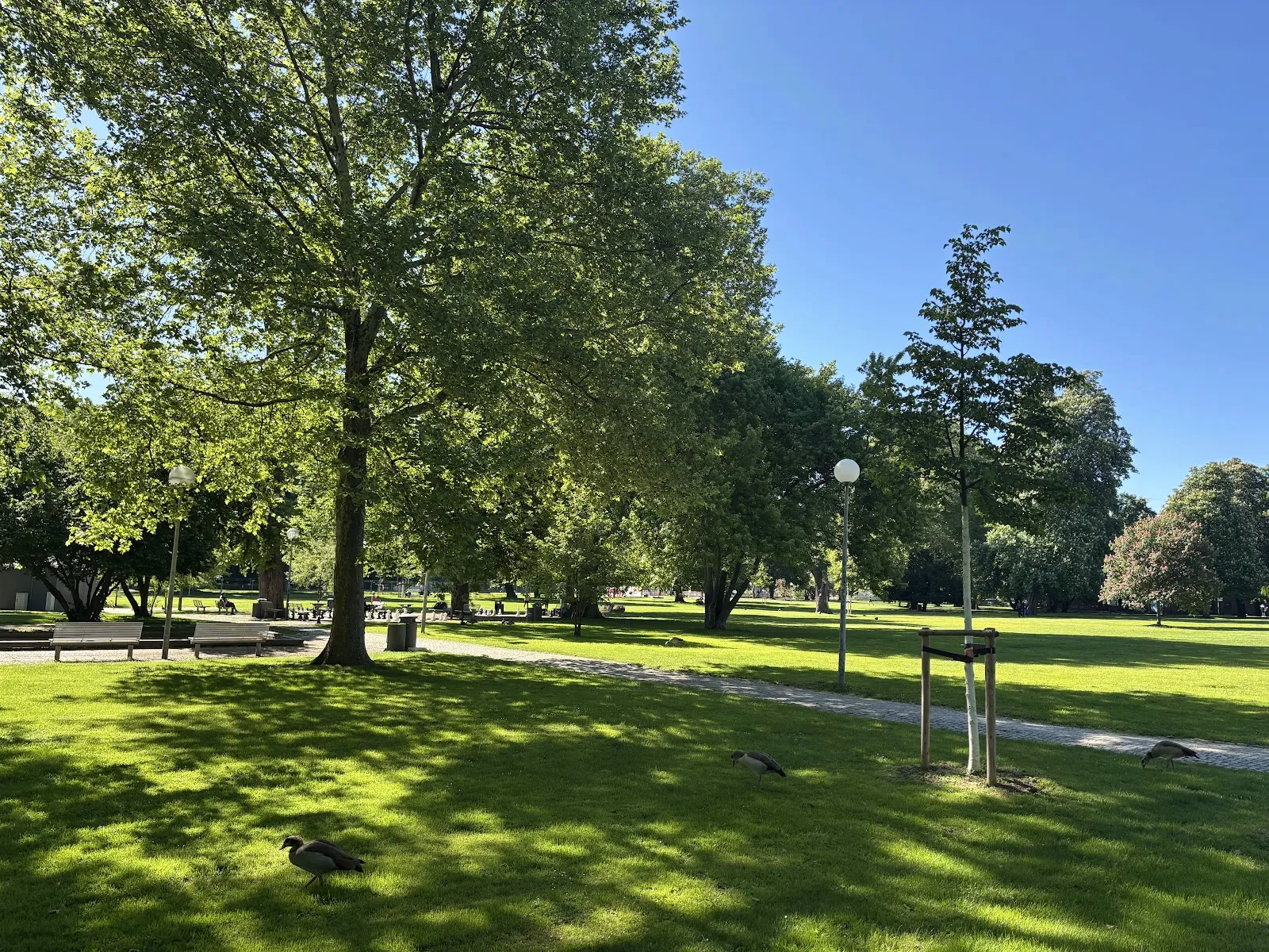 Вид на Средний Шлоссгартен в Штутгарте