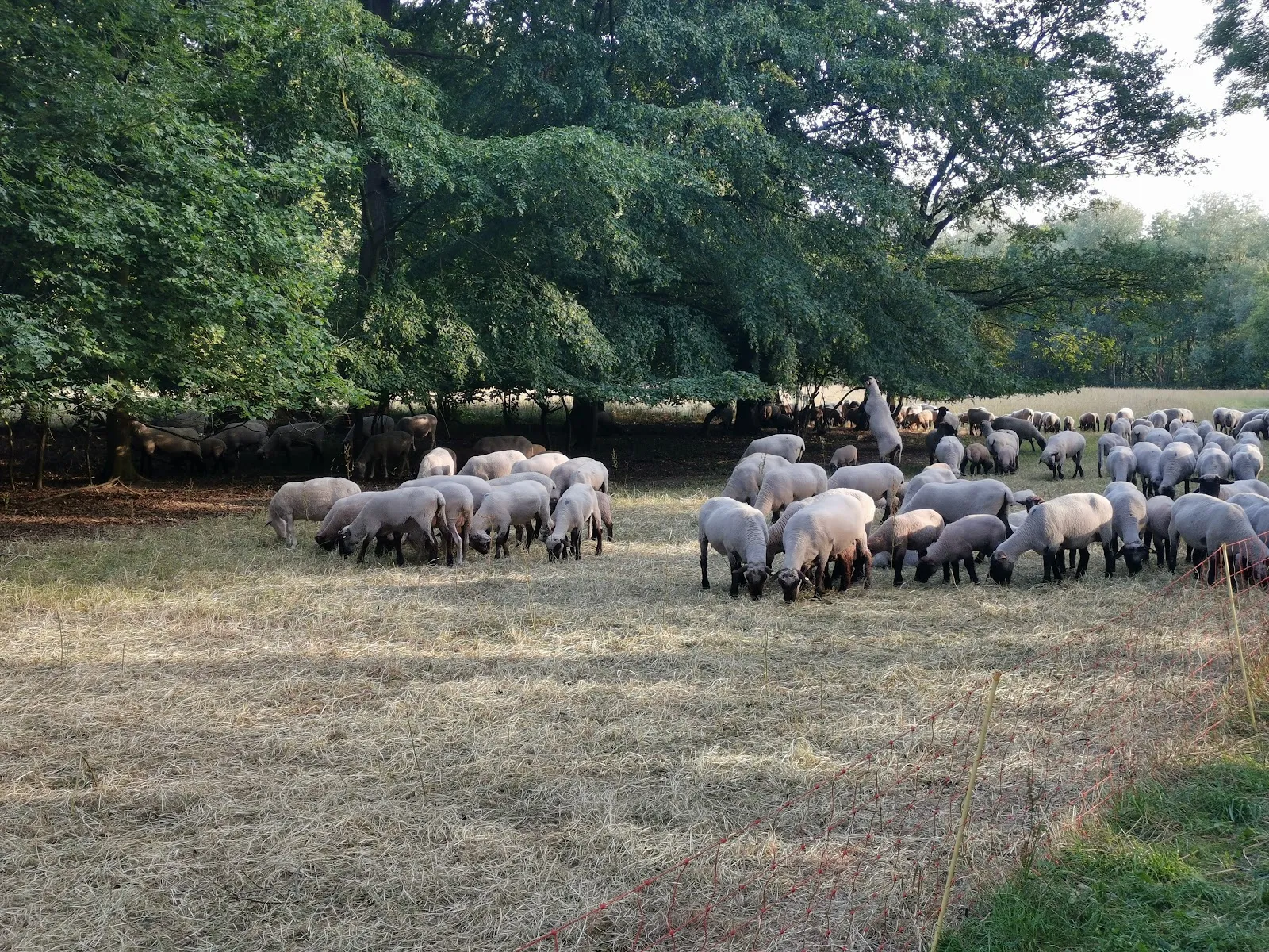 Здание Альте Кёрне в Дортмунде